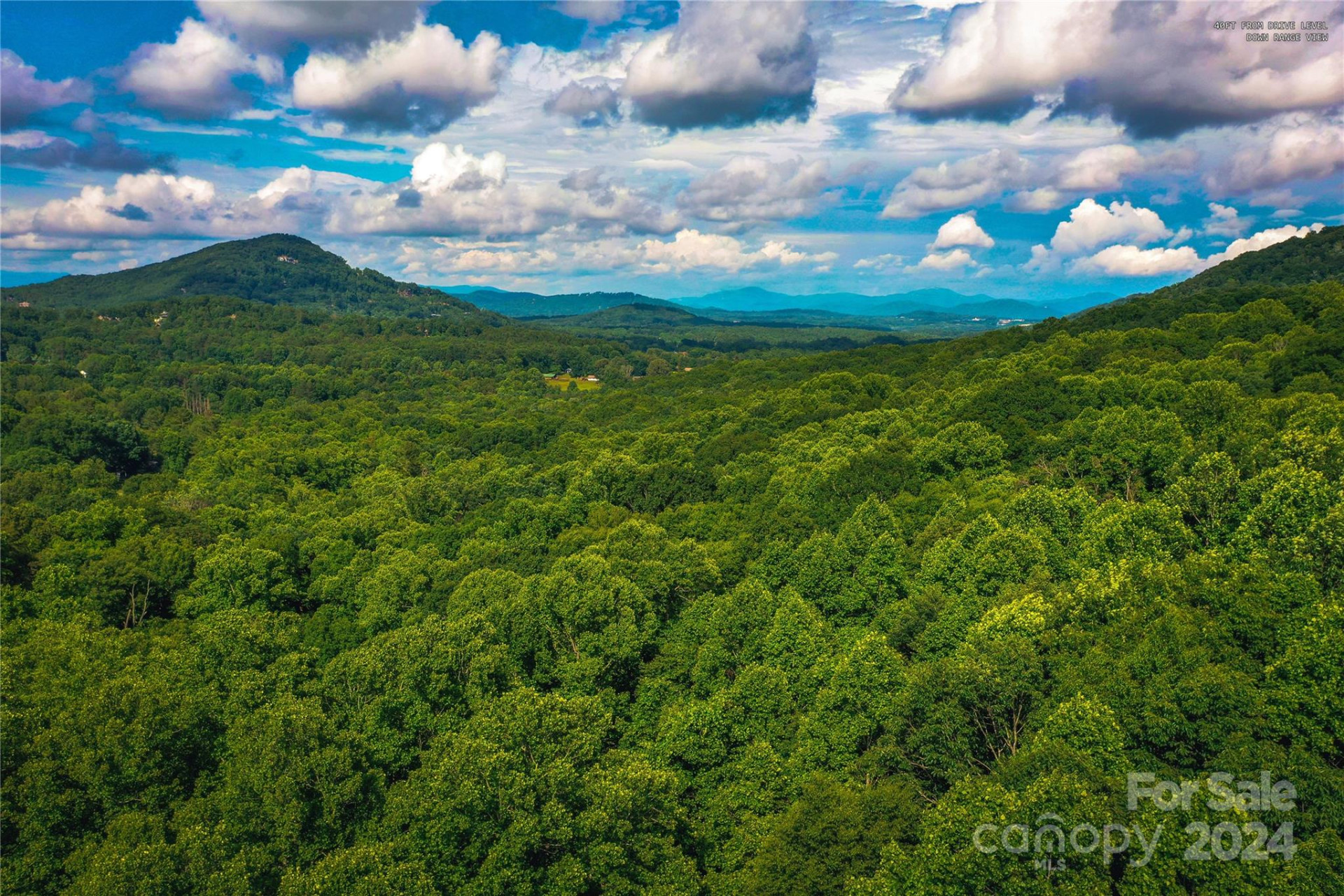 240 Smokemont Drive - Photo 12