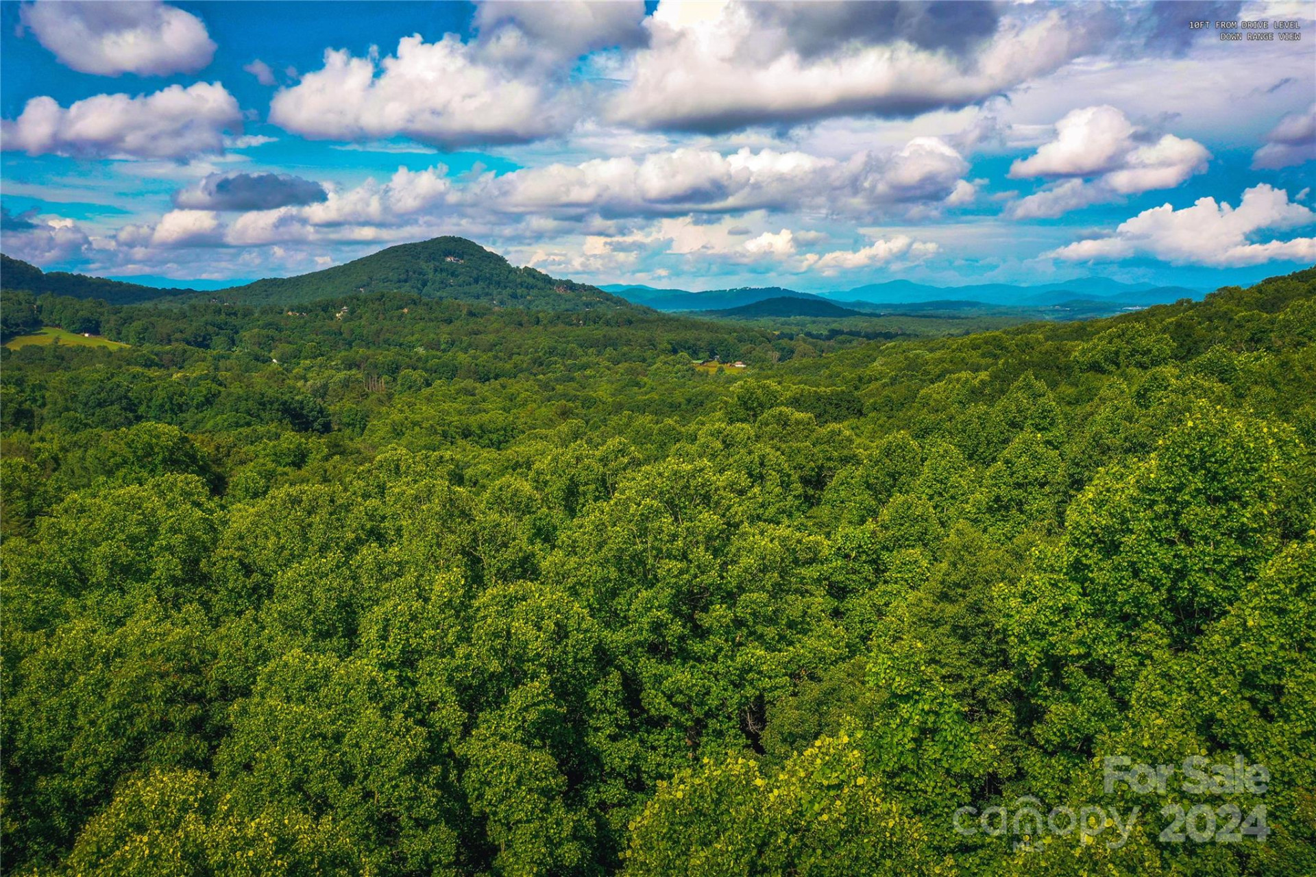 240 Smokemont Drive - Photo 15