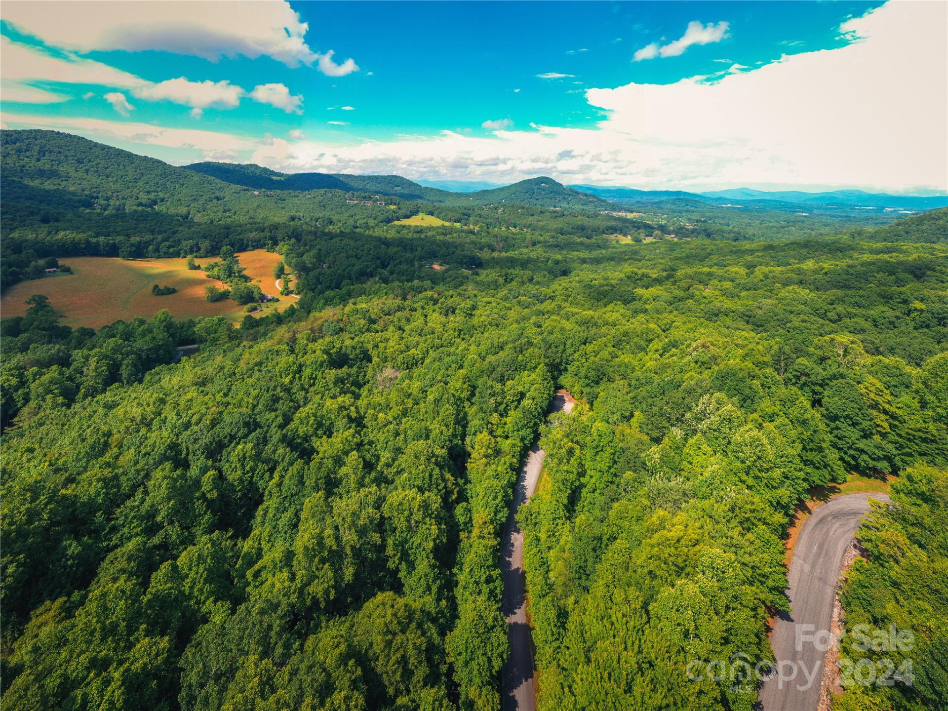 240 Smokemont Drive - Photo 3