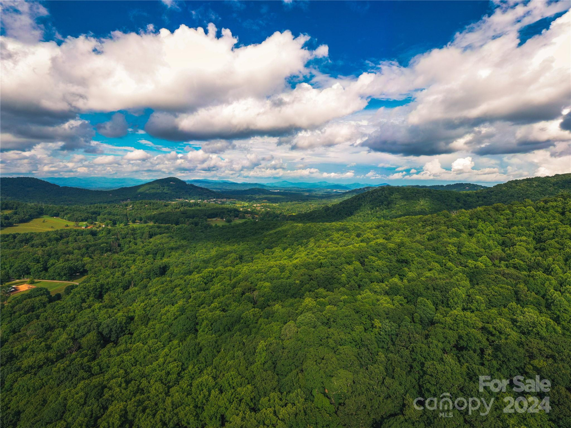 240 Smokemont Drive - Photo 4