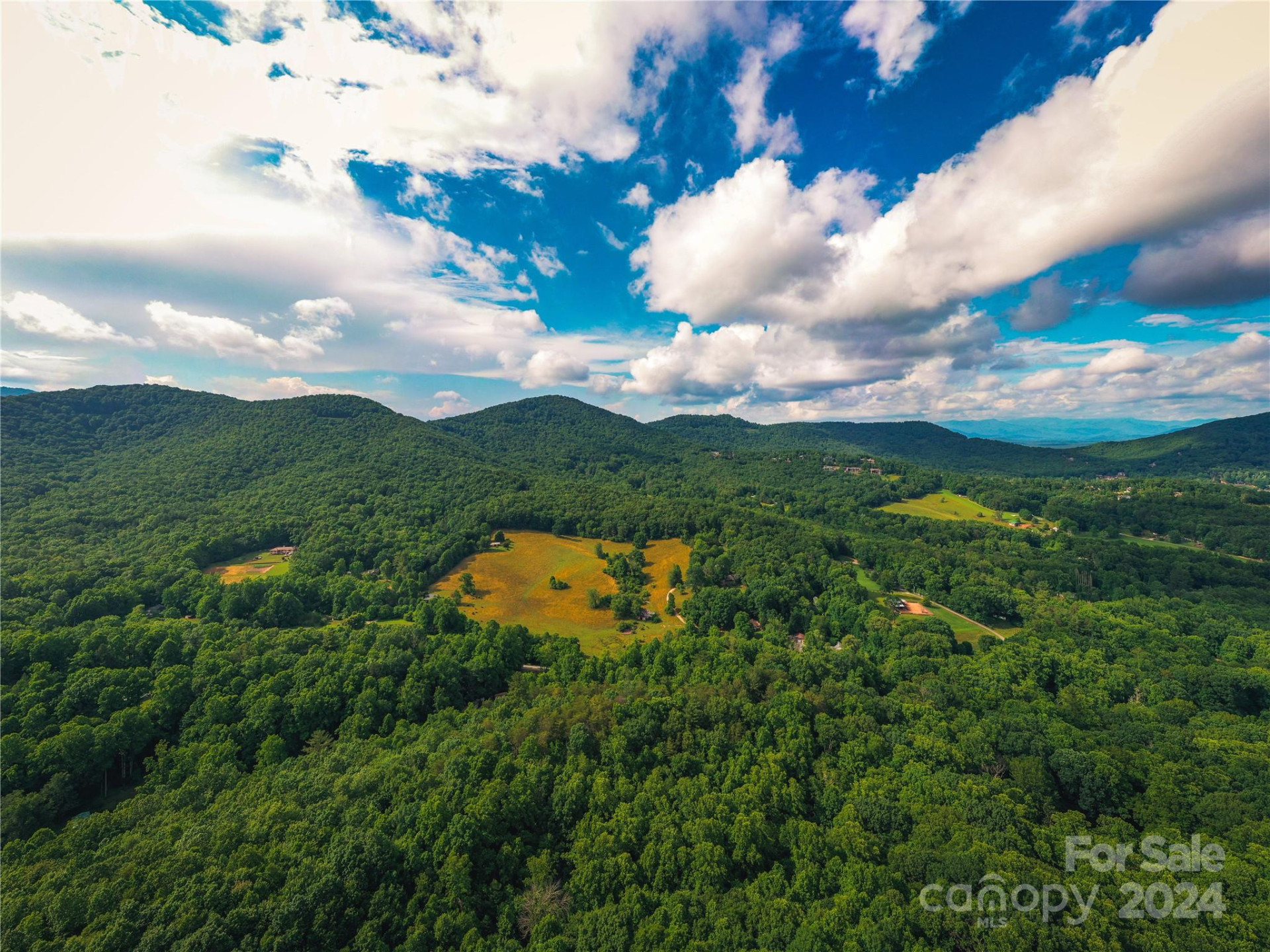 240 Smokemont Drive - Photo 5