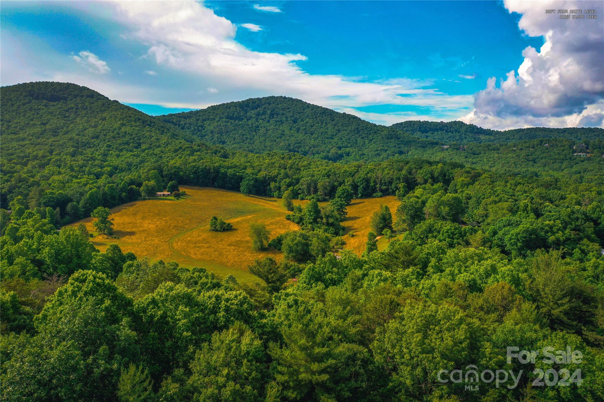 240 Smokemont Drive - Photo 9