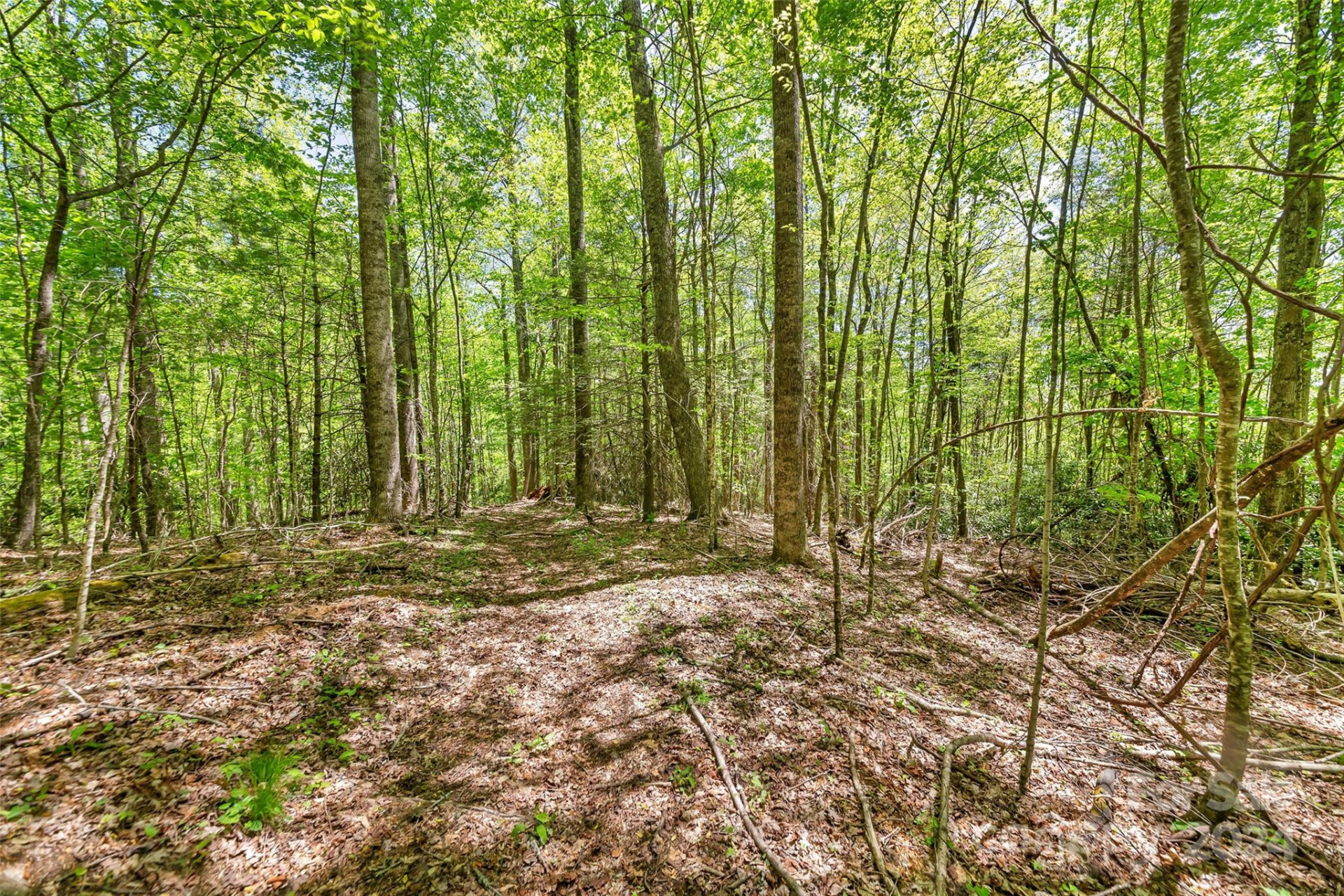 9999 Gouges Creek Road - Photo 2