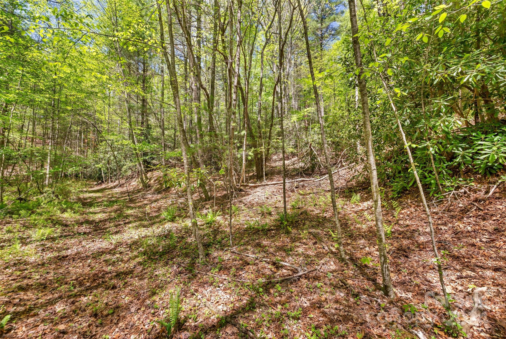 9999 Gouges Creek Road - Photo 12