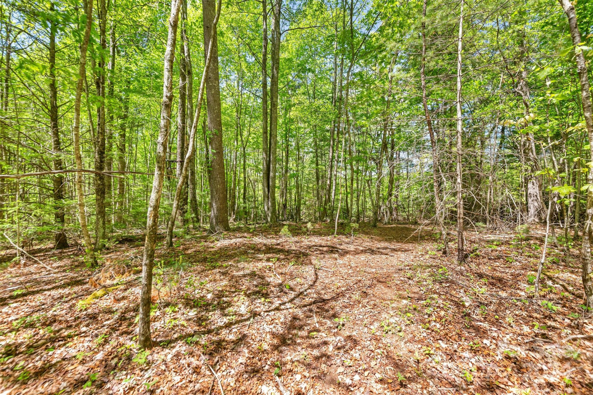 9999 Gouges Creek Road - Photo 14