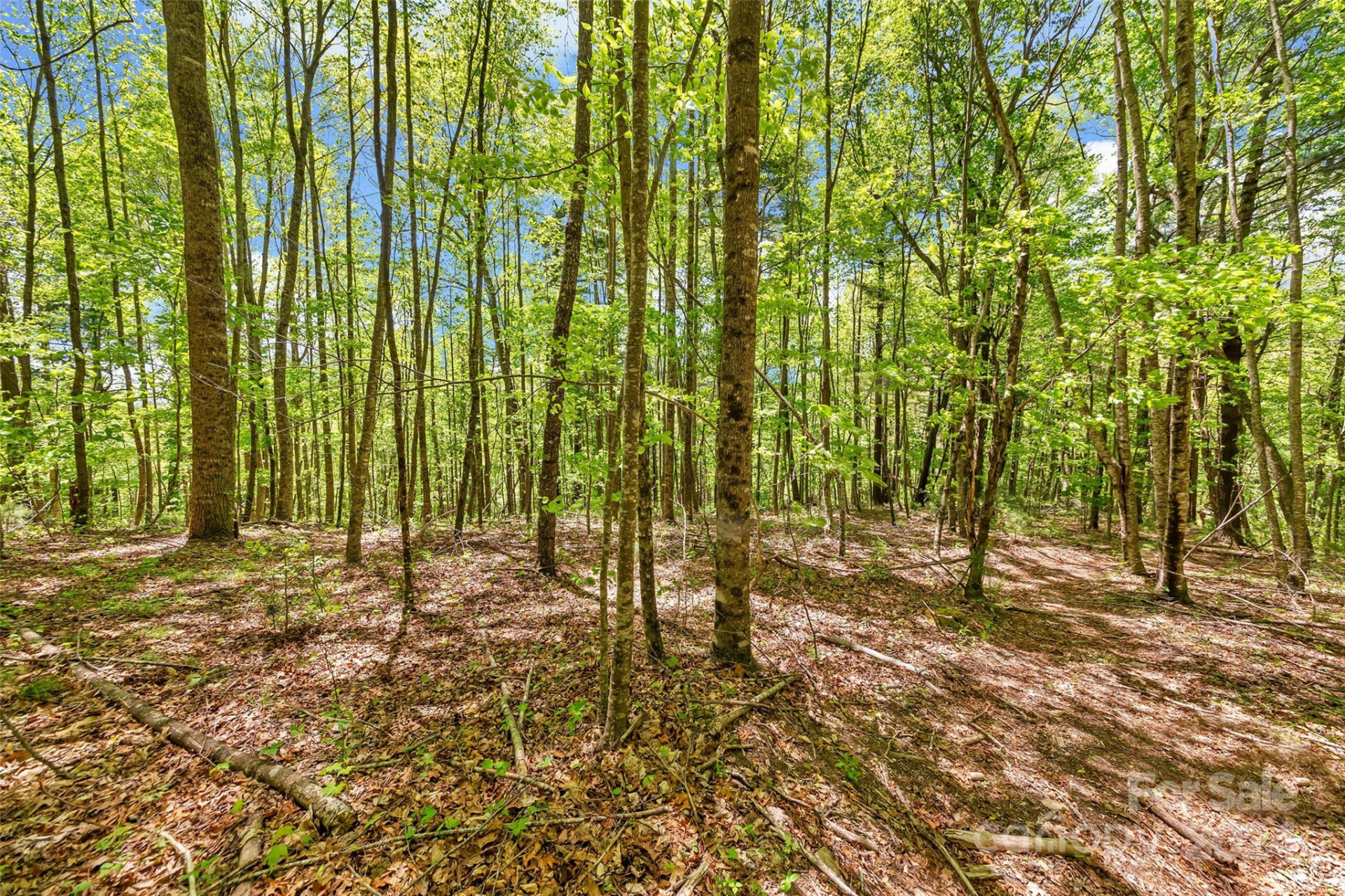 9999 Gouges Creek Road - Photo 16