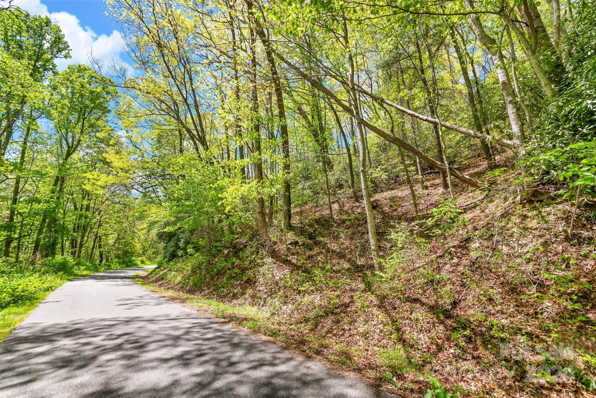 9999 Gouges Creek Road - Photo 18