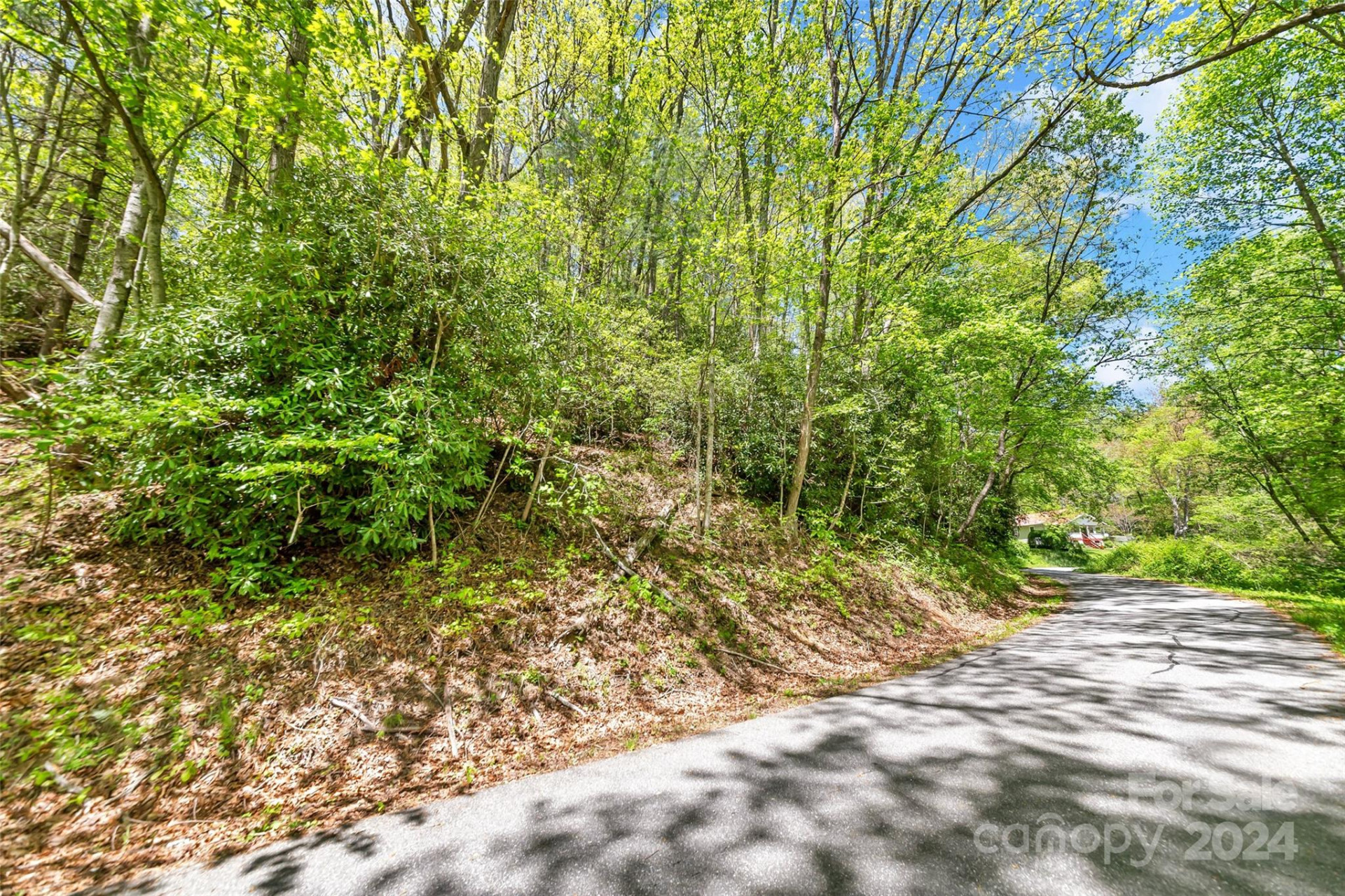 9999 Gouges Creek Road - Photo 3