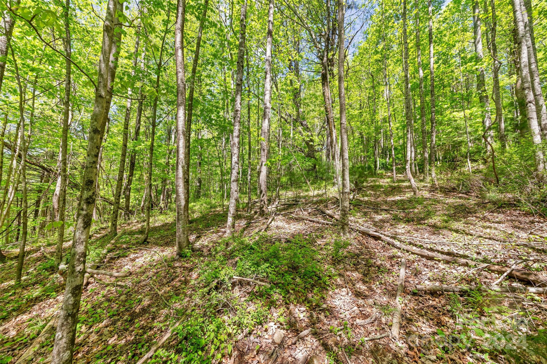 9999 Gouges Creek Road - Photo 21