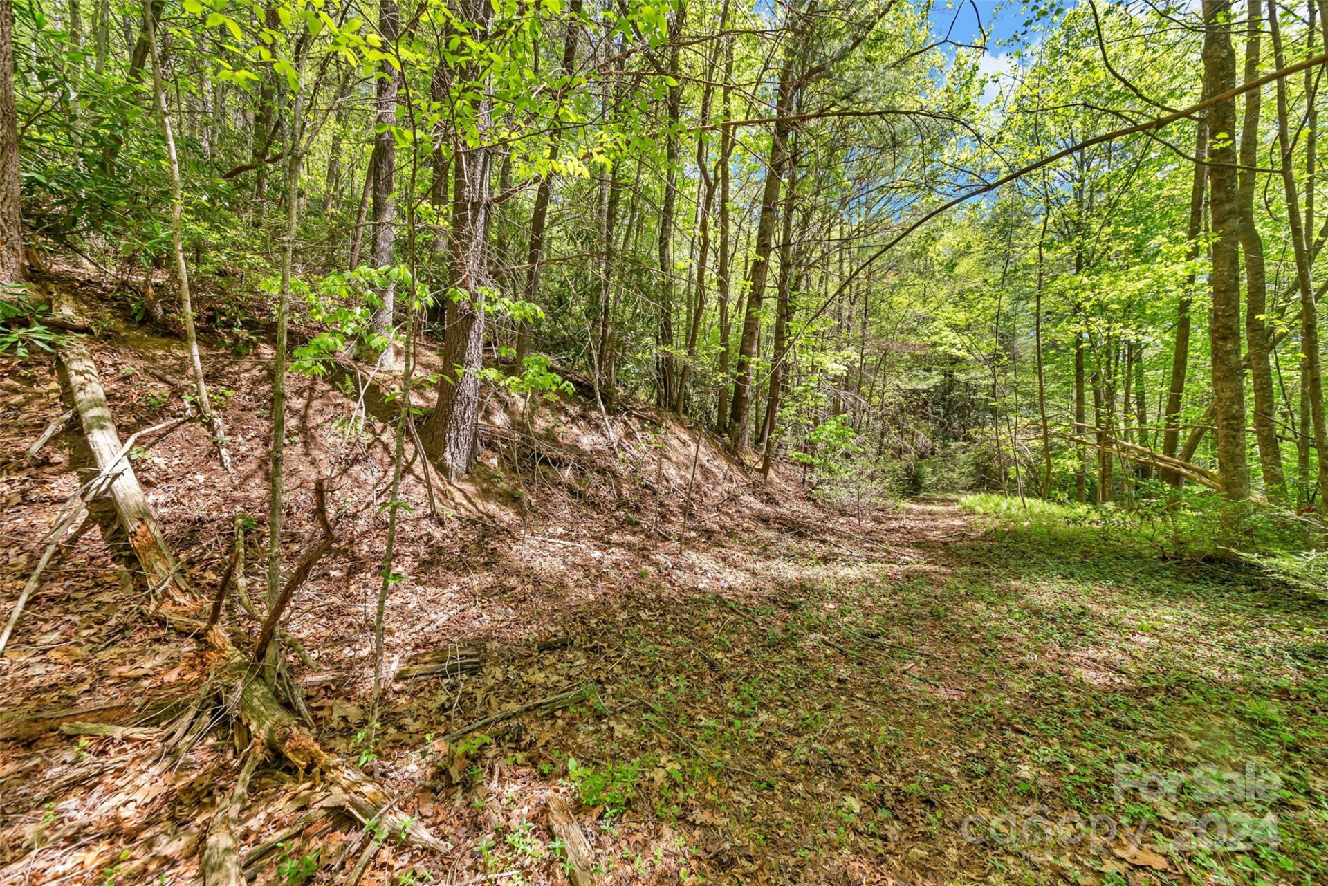 9999 Gouges Creek Road - Photo 23