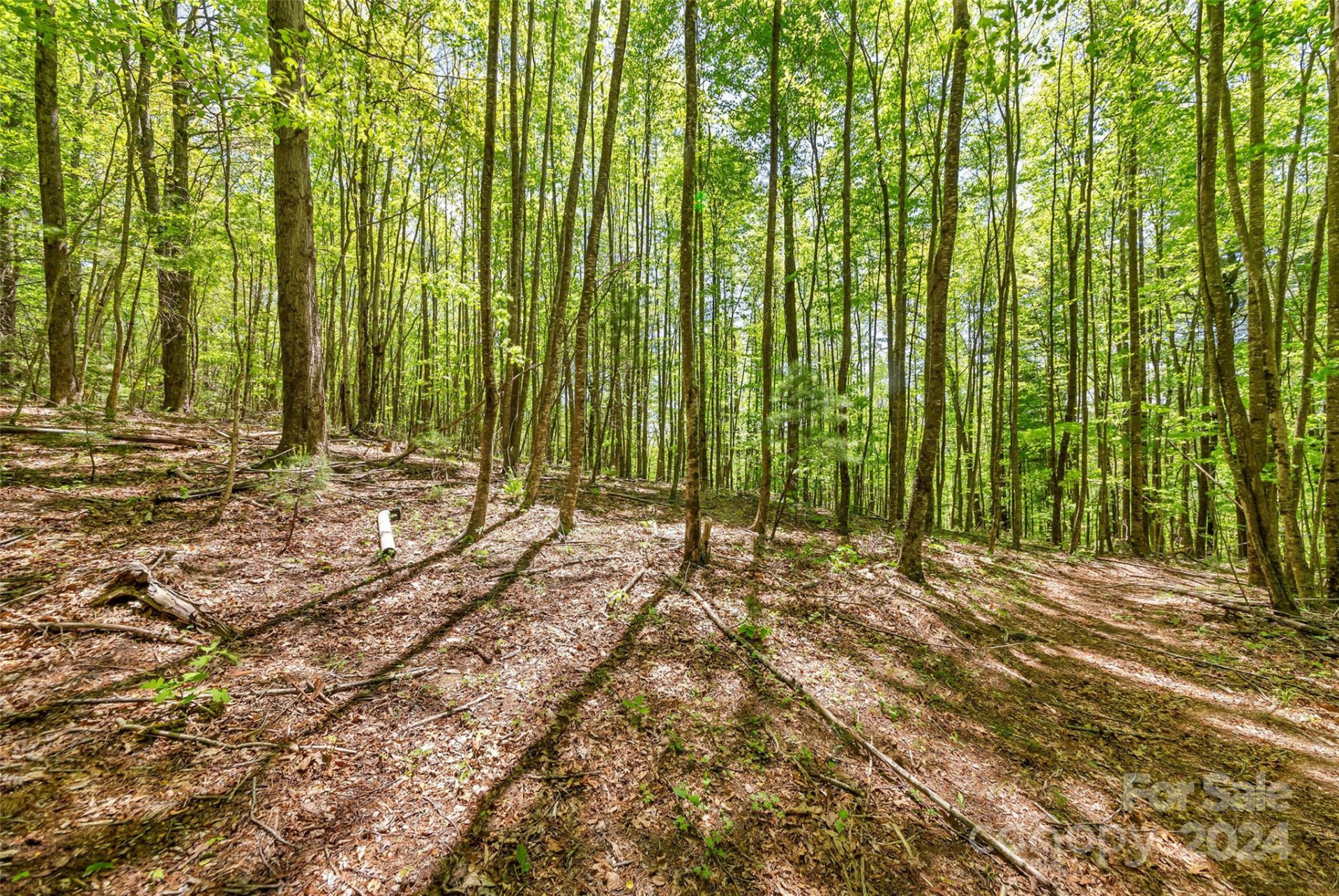 9999 Gouges Creek Road - Photo 24