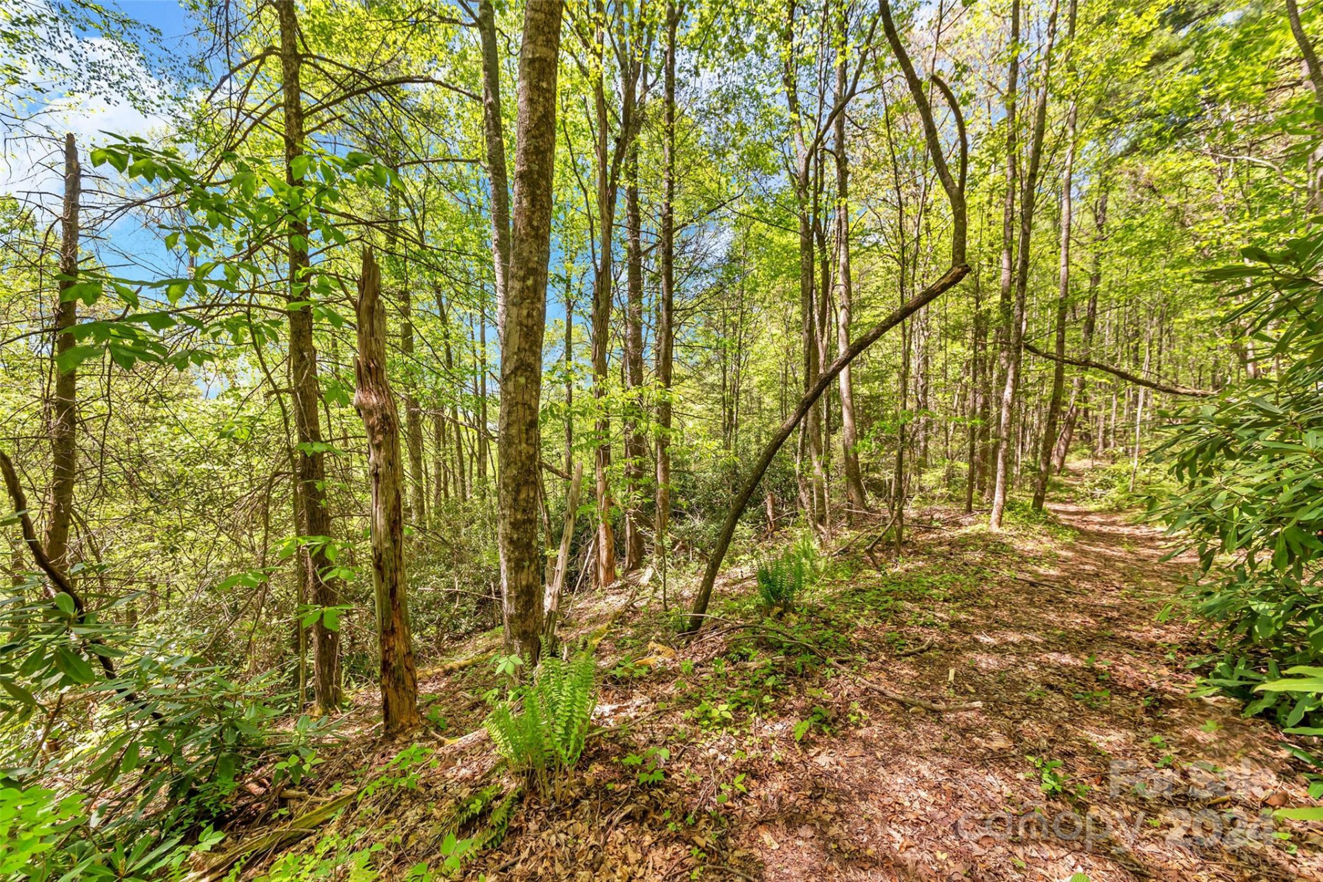 9999 Gouges Creek Road - Photo 26