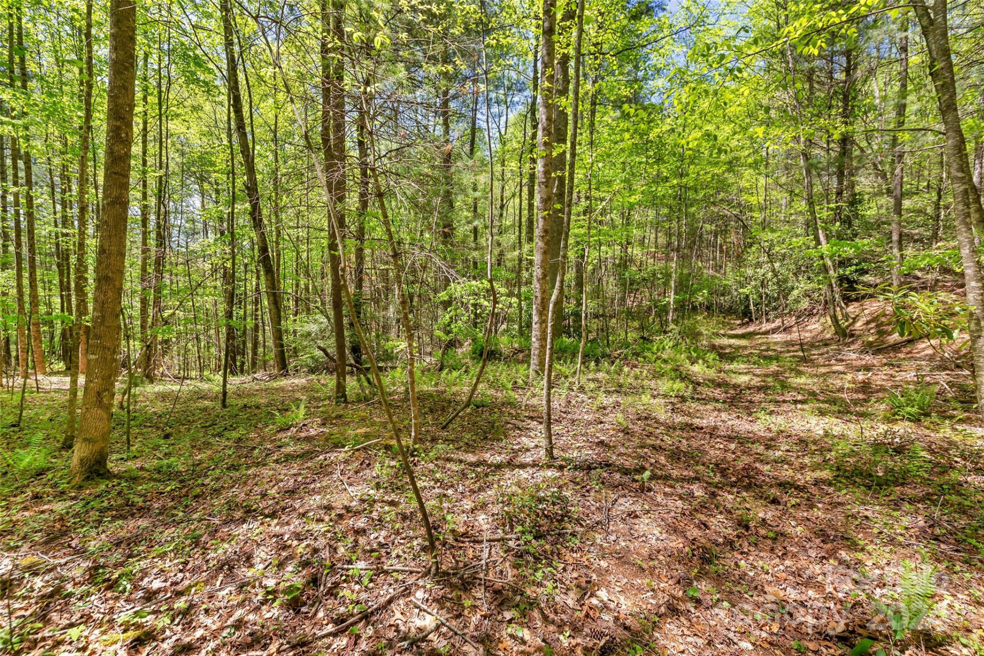 9999 Gouges Creek Road - Photo 27