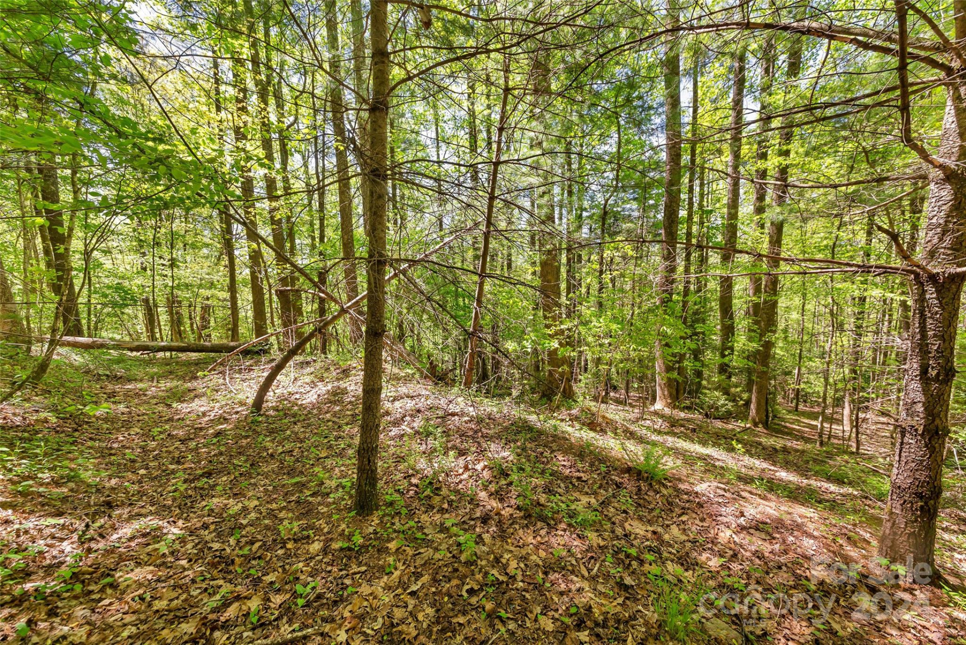 9999 Gouges Creek Road - Photo 28