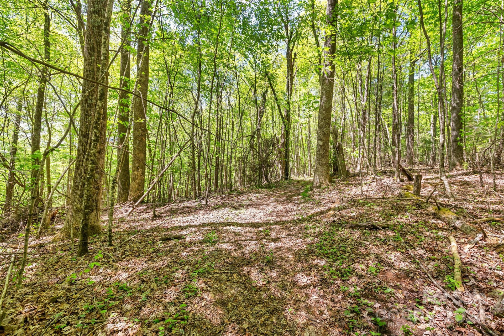 9999 Gouges Creek Road - Photo 29