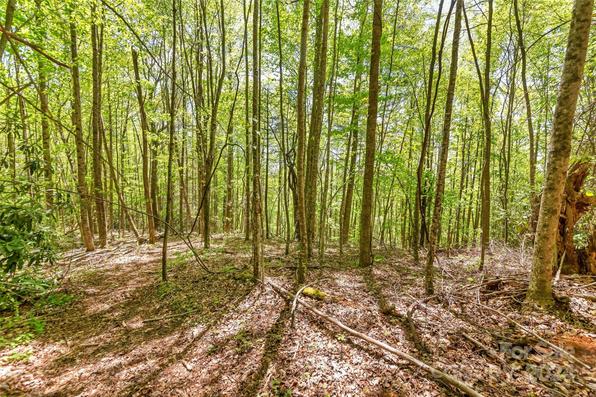 9999 Gouges Creek Road - Photo 30