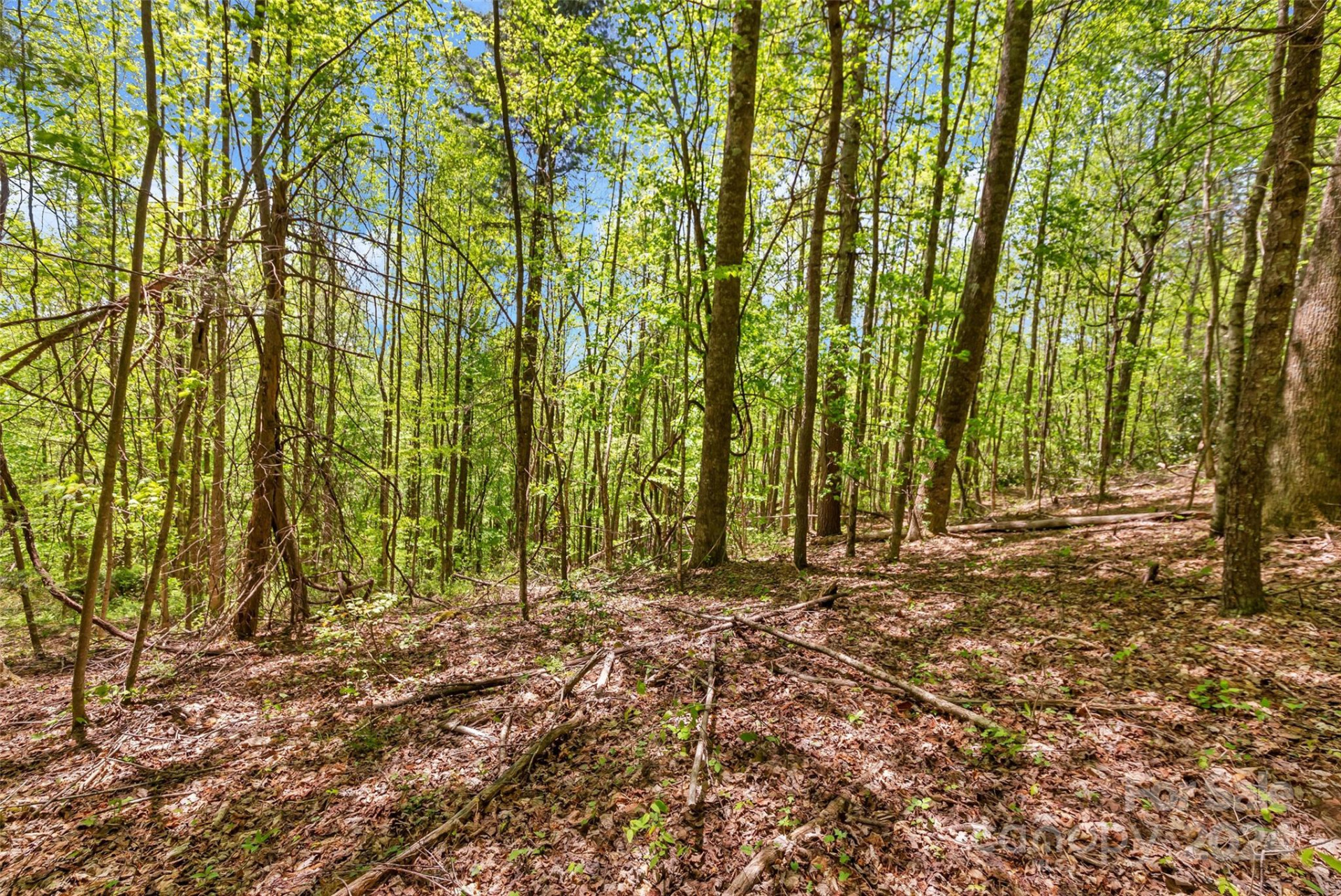 9999 Gouges Creek Road - Photo 31