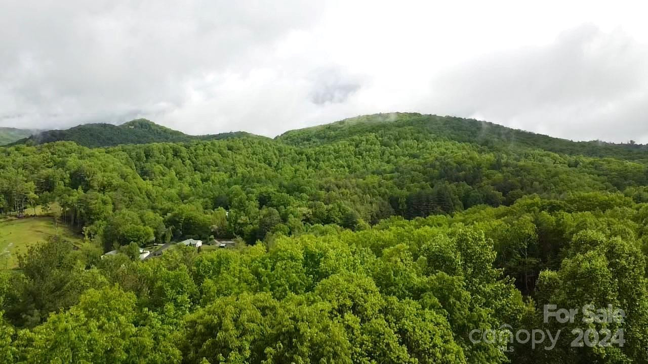 9999 Gouges Creek Road - Photo 5