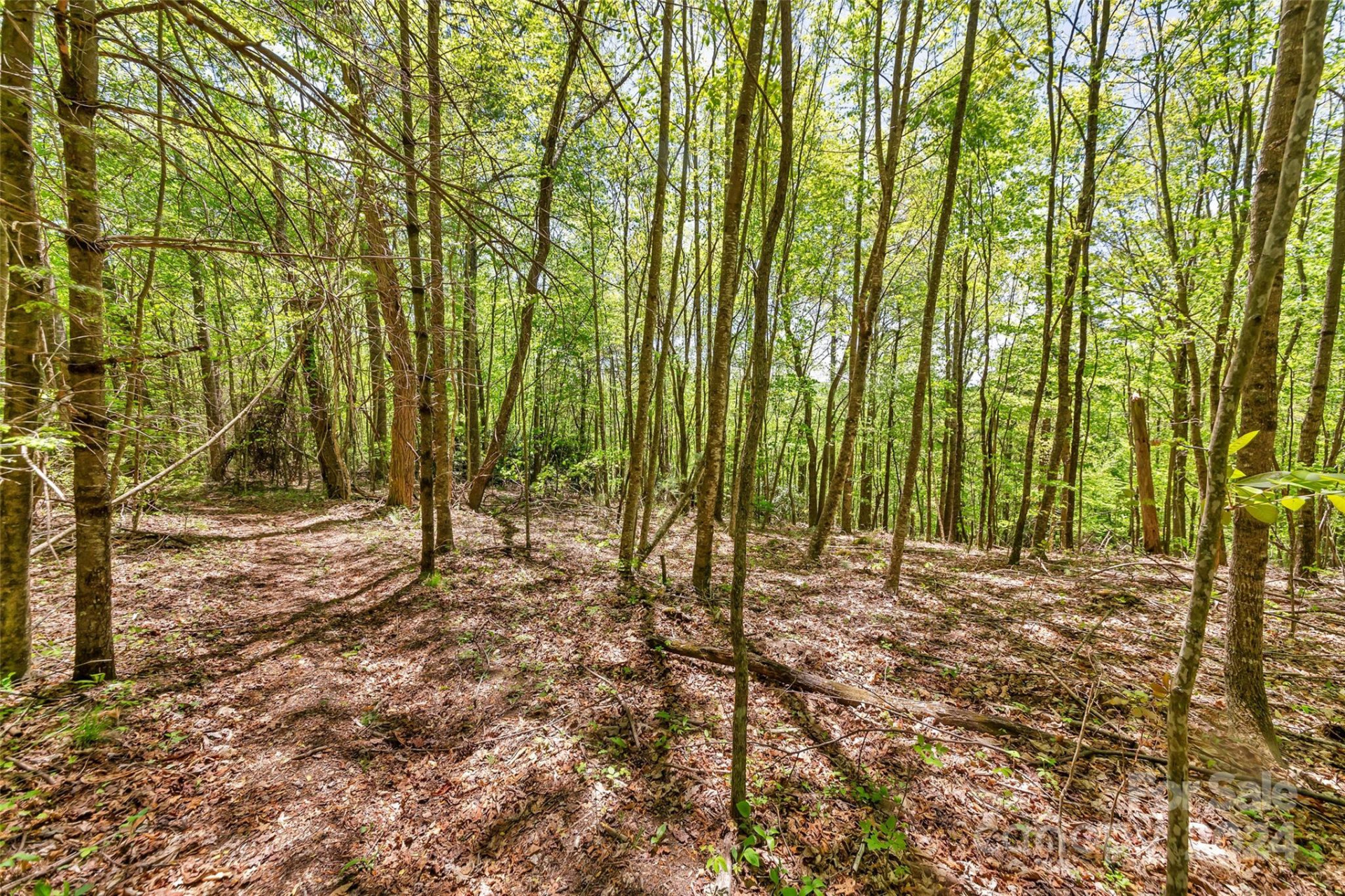 9999 Gouges Creek Road - Photo 9