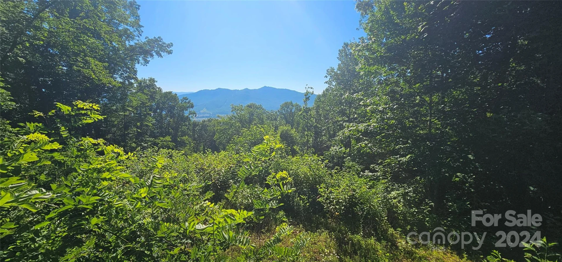 8 Lots Frontier Way - Photo 7