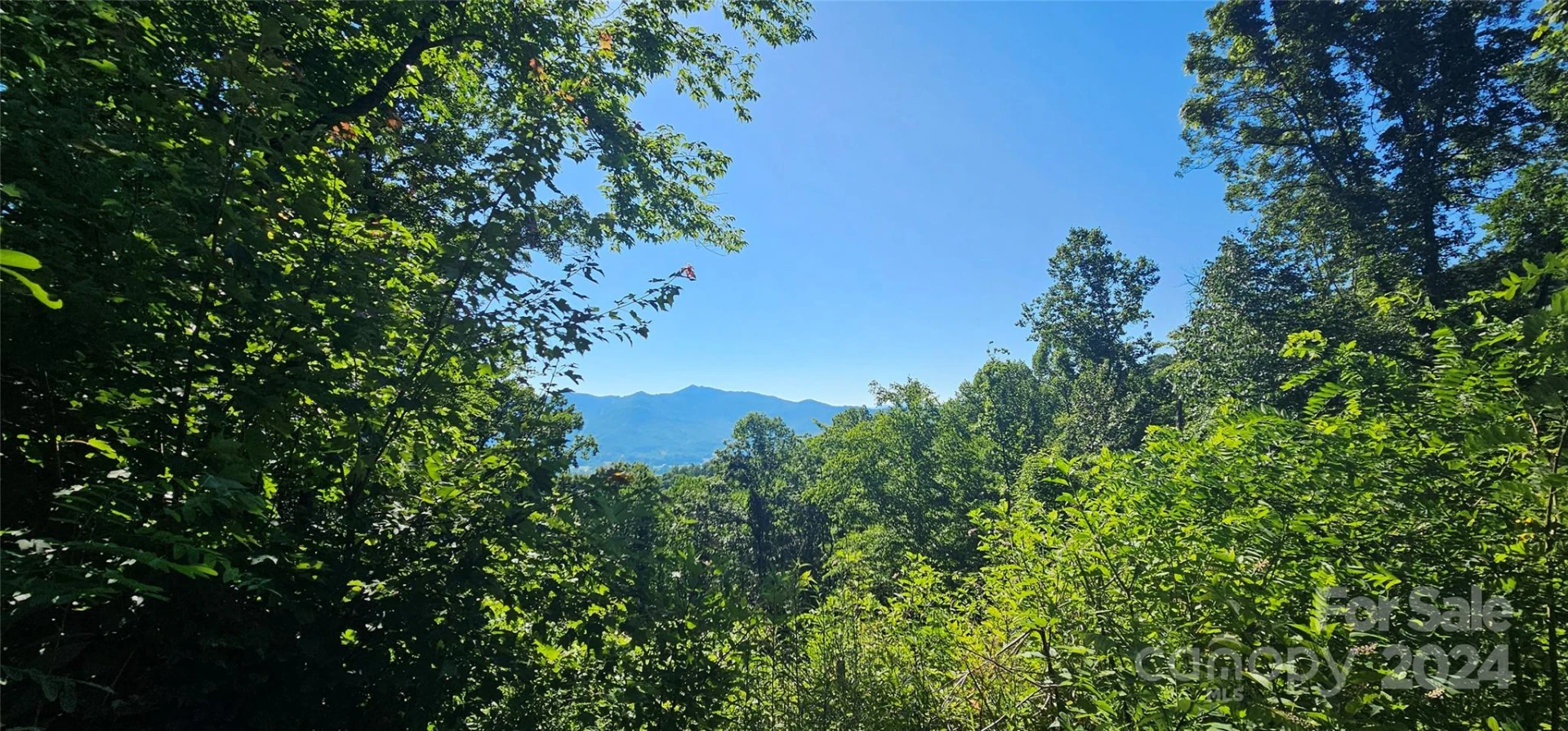 8 Lots Frontier Way - Photo 10