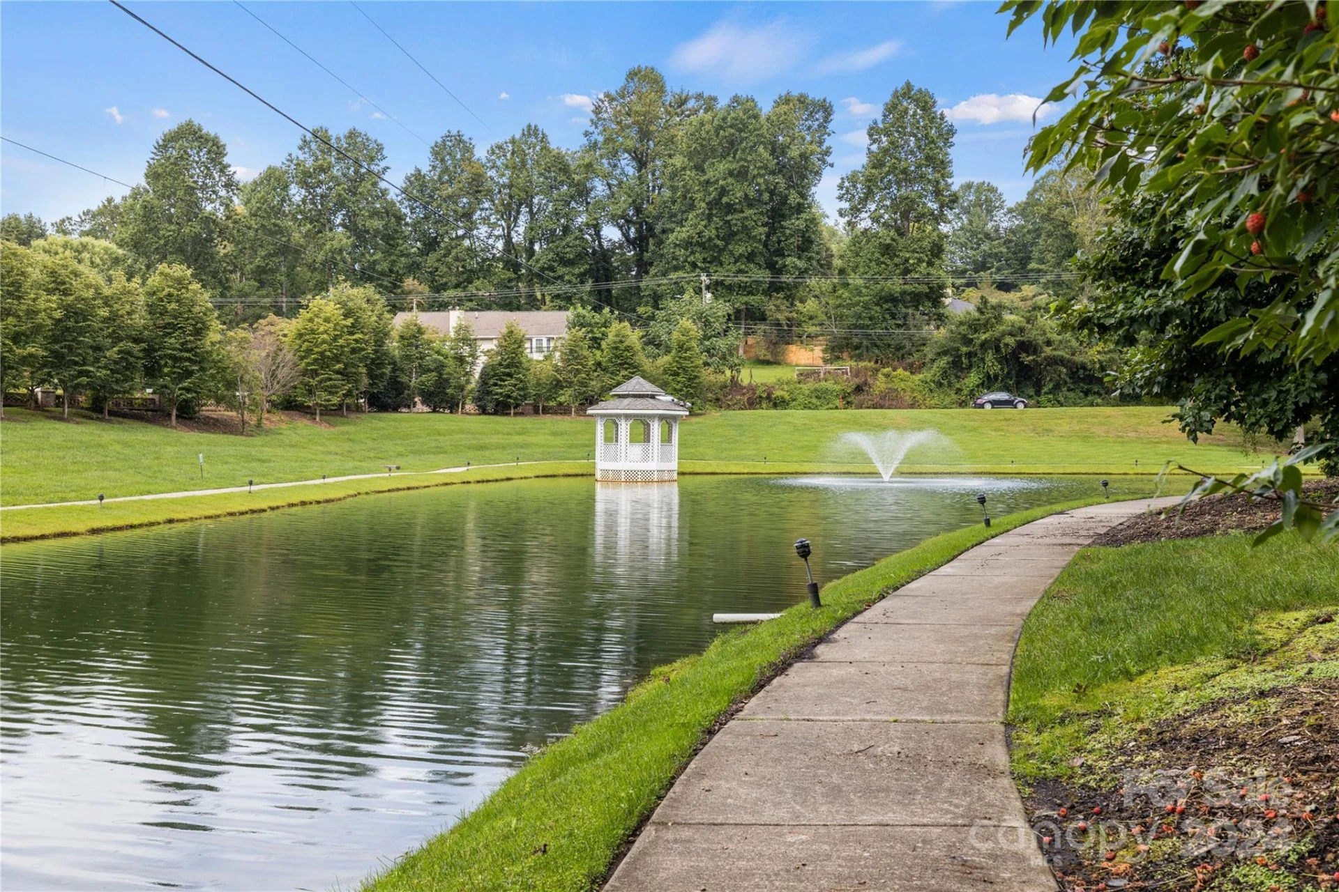 101 Wood Owl Court - Photo 2