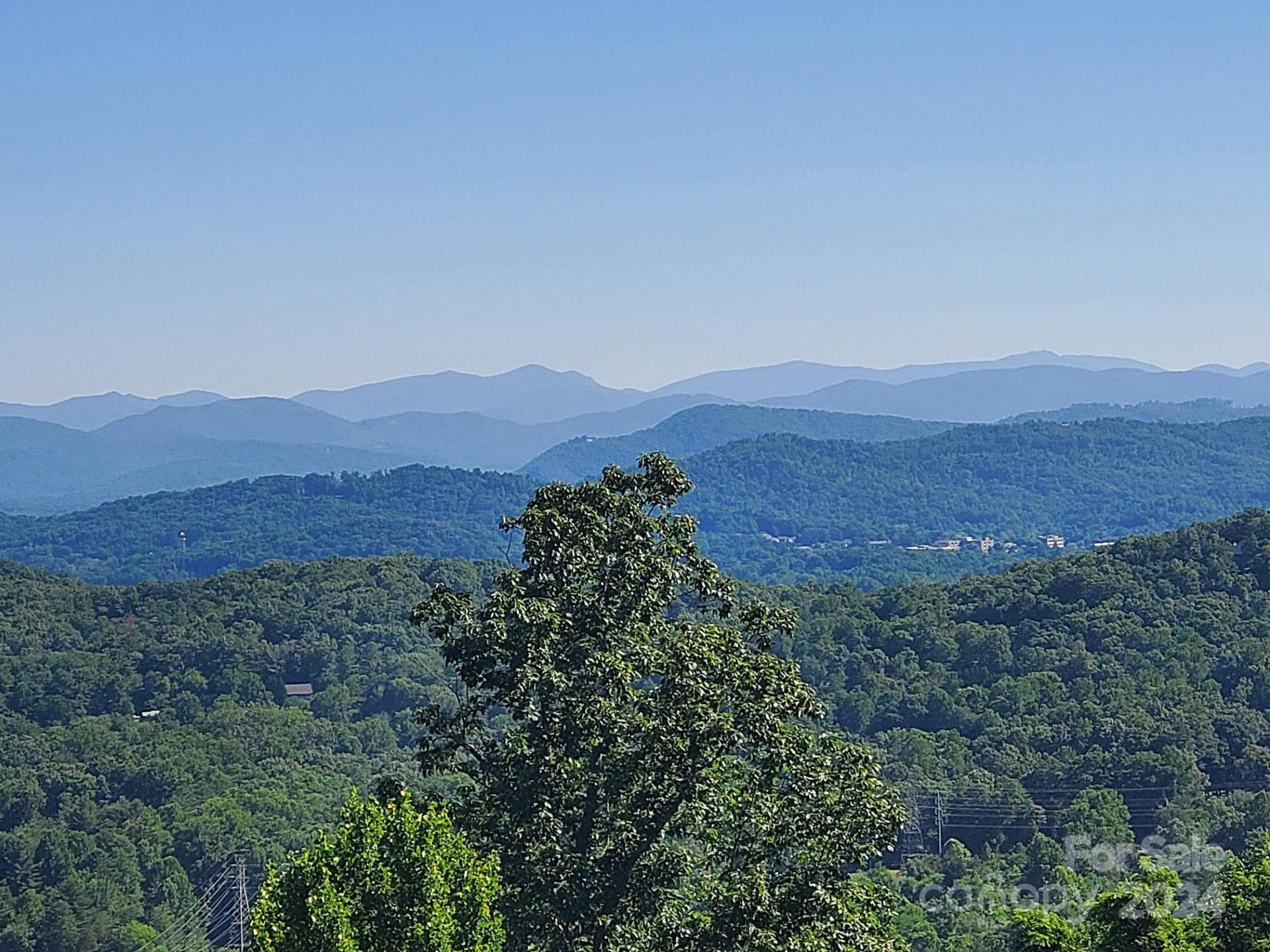 101 Wood Owl Court - Photo 11