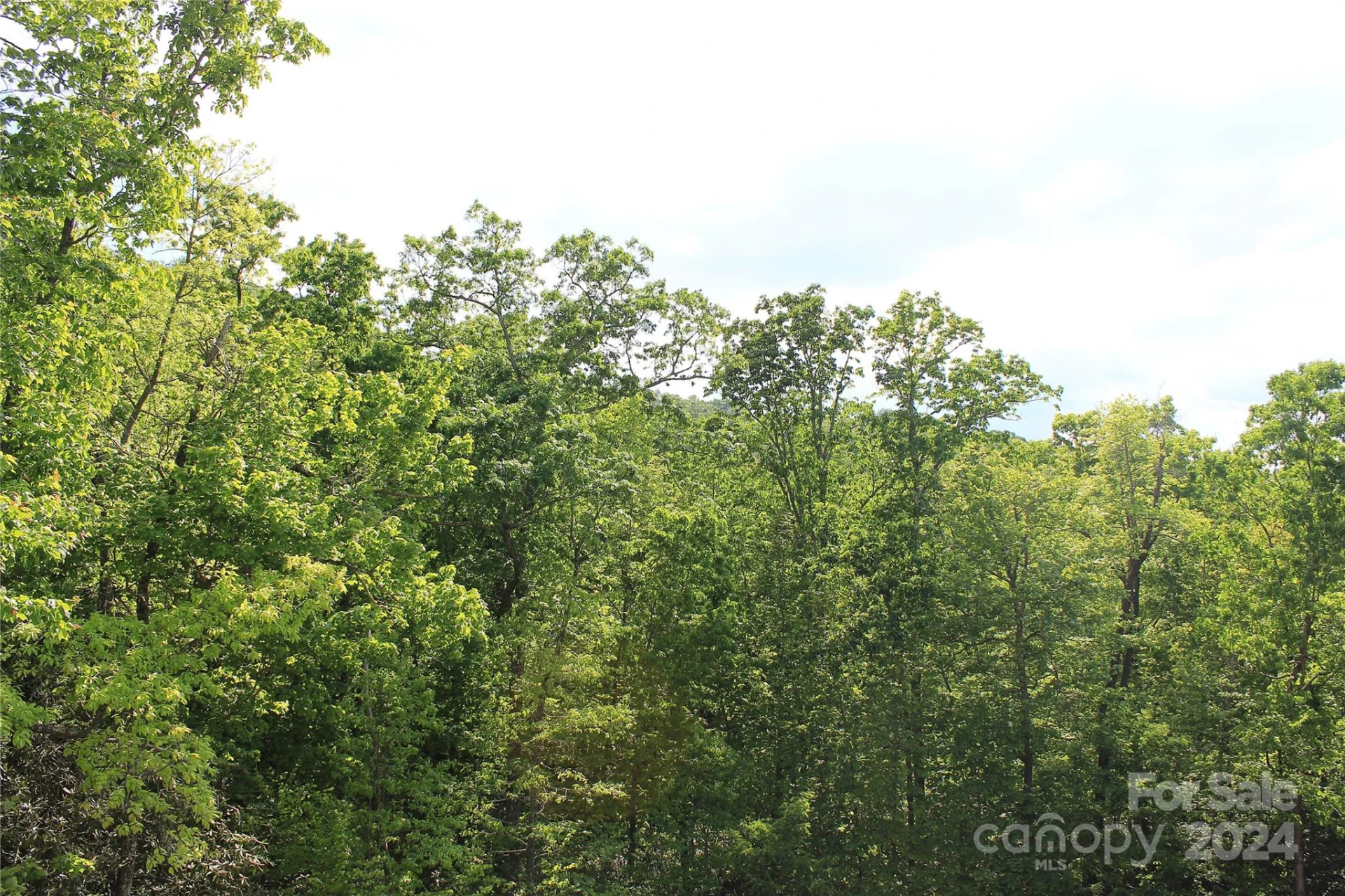101 Wood Owl Court - Photo 12