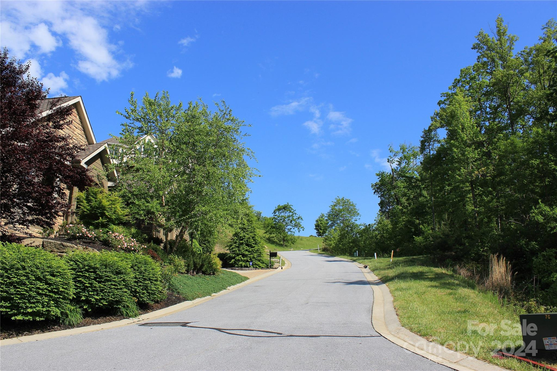 101 Wood Owl Court - Photo 13