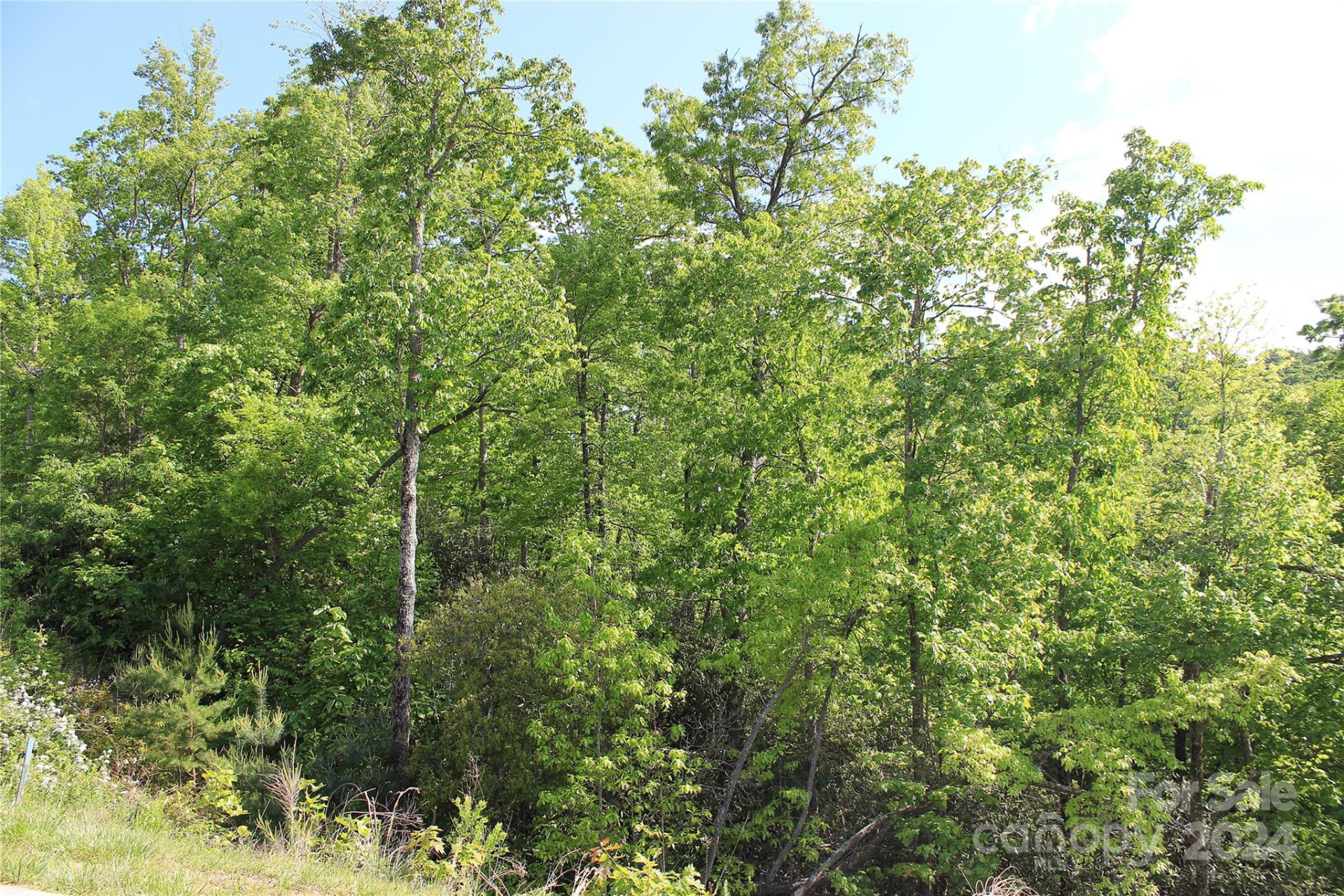 101 Wood Owl Court - Photo 14