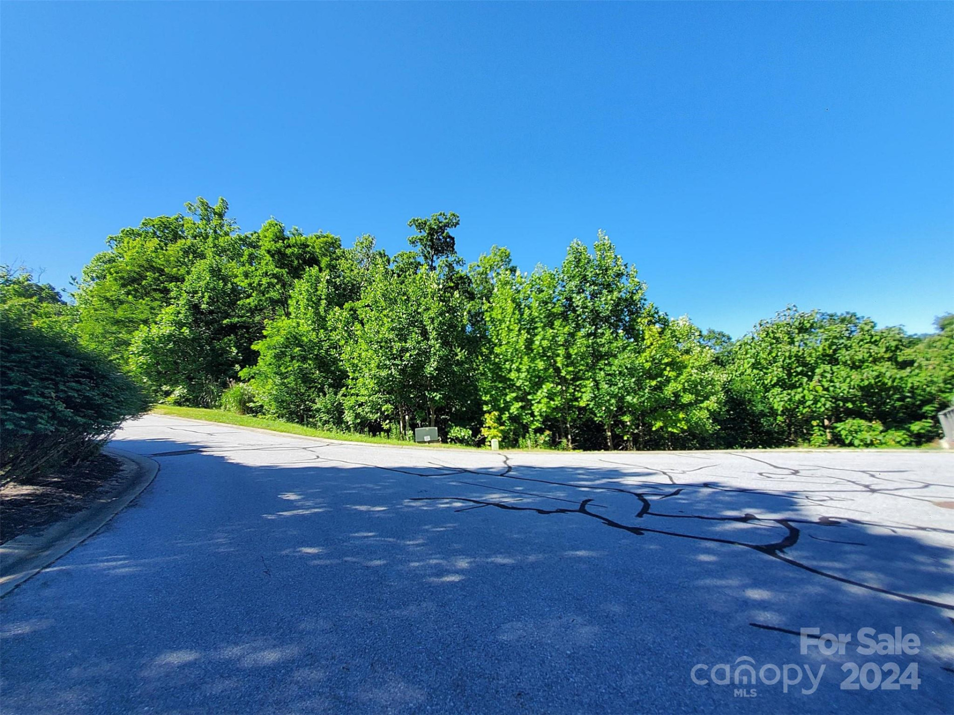 101 Wood Owl Court - Photo 3