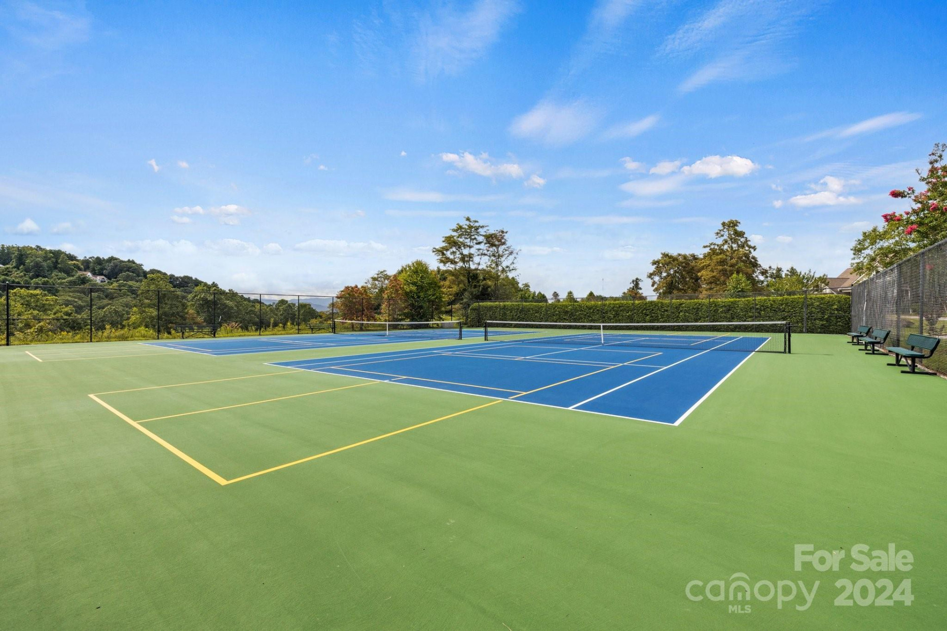 101 Wood Owl Court - Photo 6