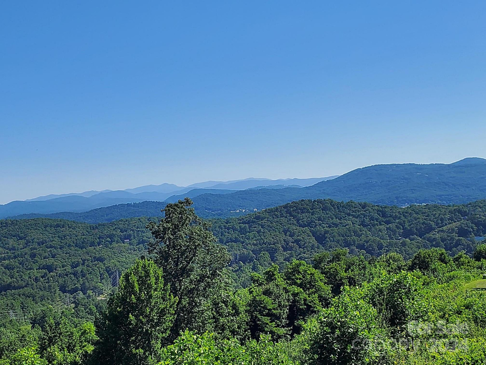 101 Wood Owl Court - Photo 9