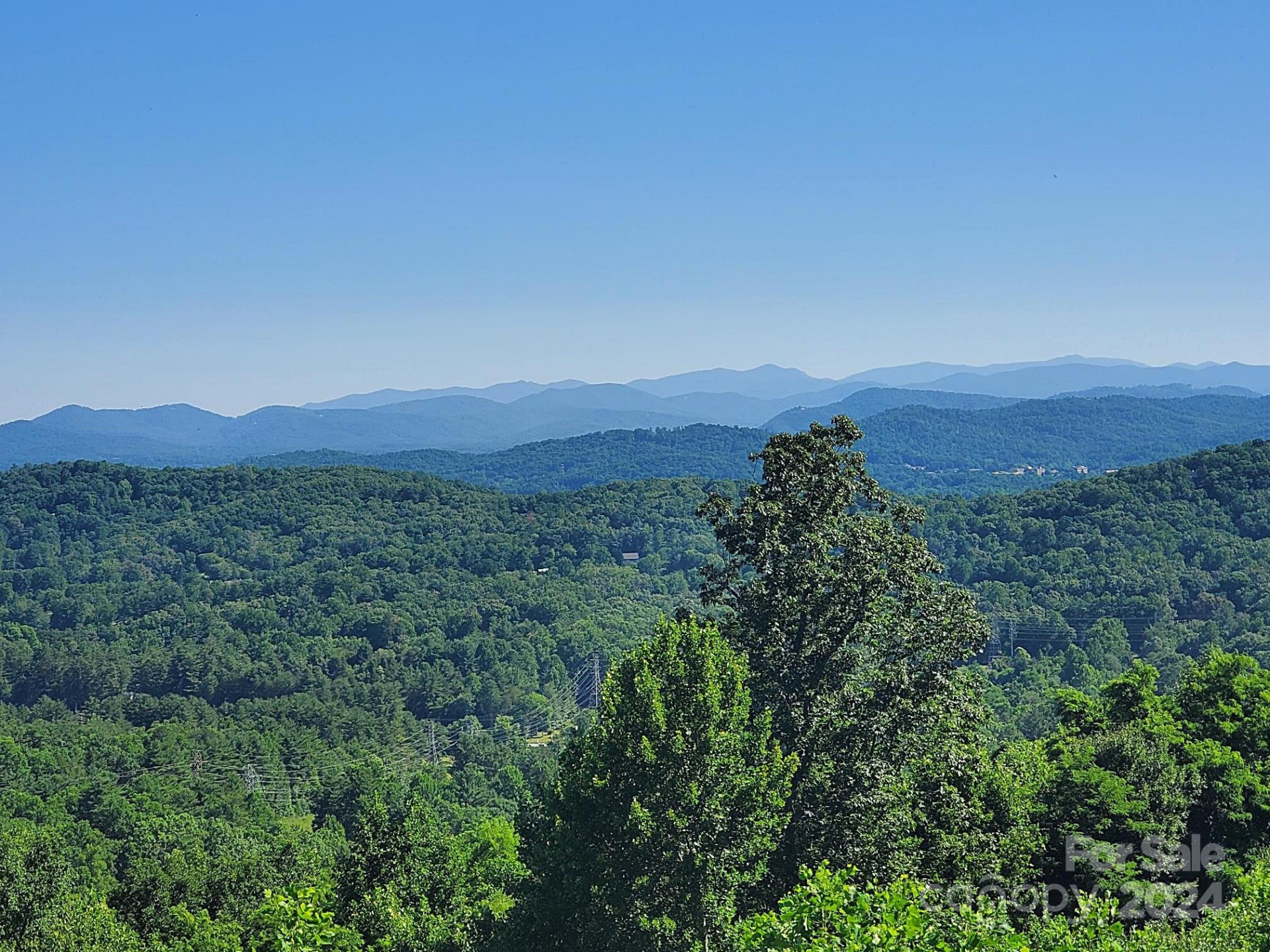 101 Wood Owl Court - Photo 10