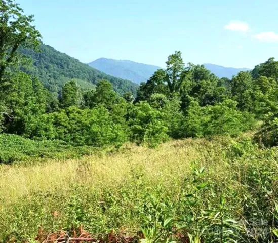 00 Split Pine Cove