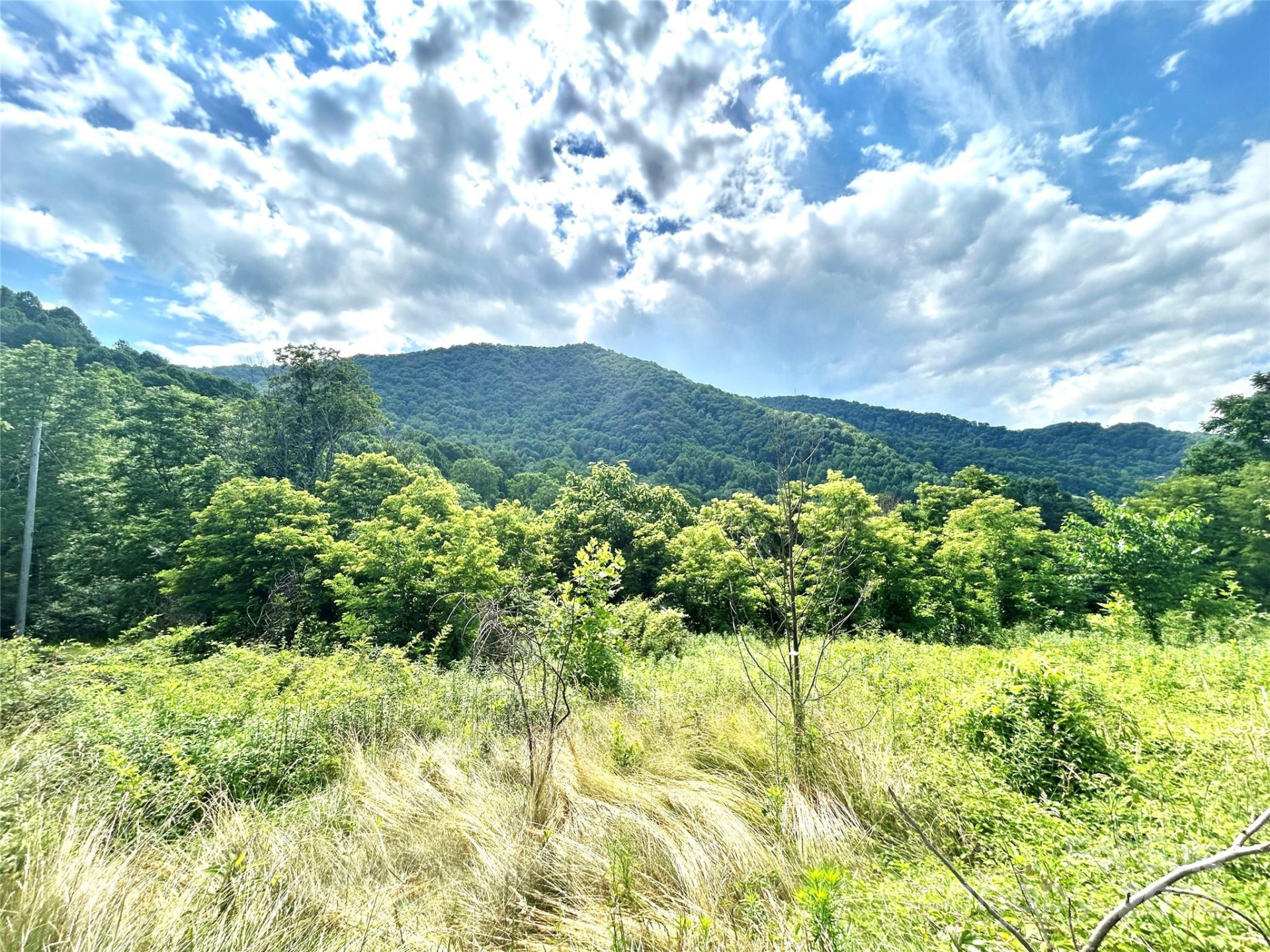 00 Split Pine Cove - Photo 2