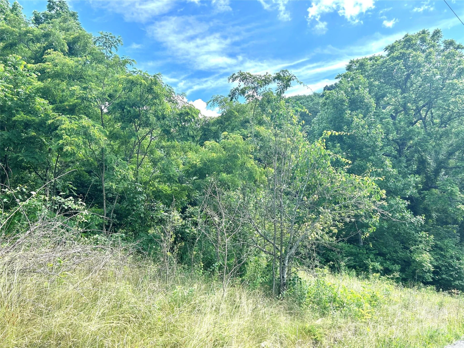 00 Split Pine Cove - Photo 11