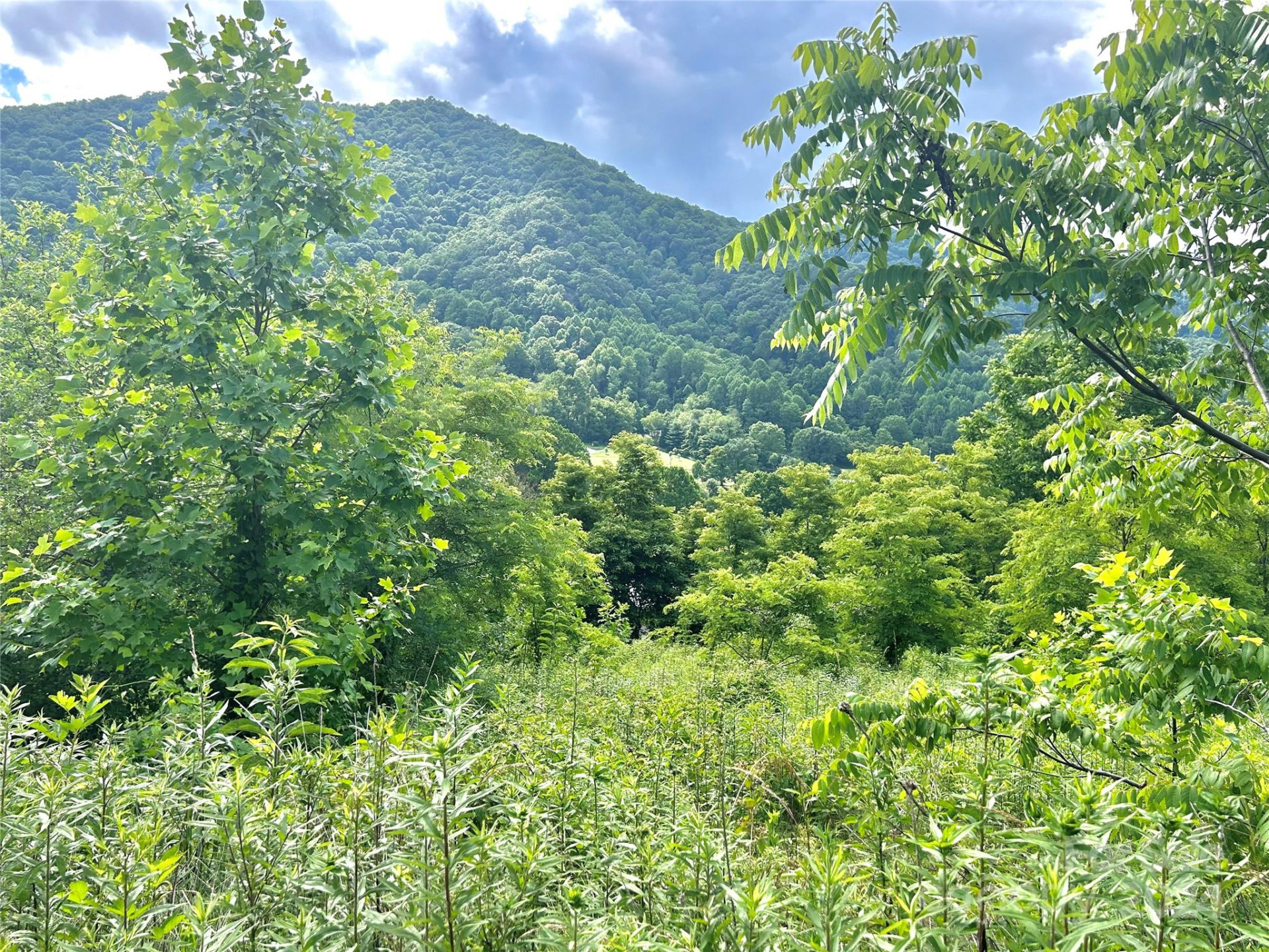 00 Split Pine Cove - Photo 4