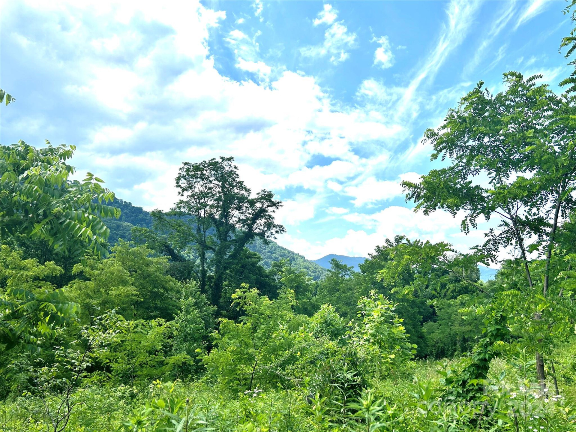 00 Split Pine Cove - Photo 5