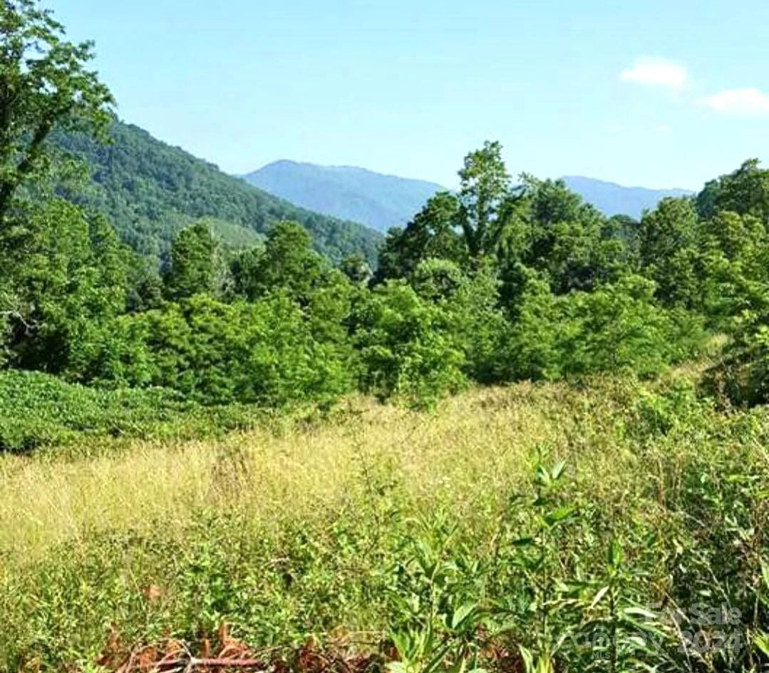 00 Split Pine Cove - Photo 10