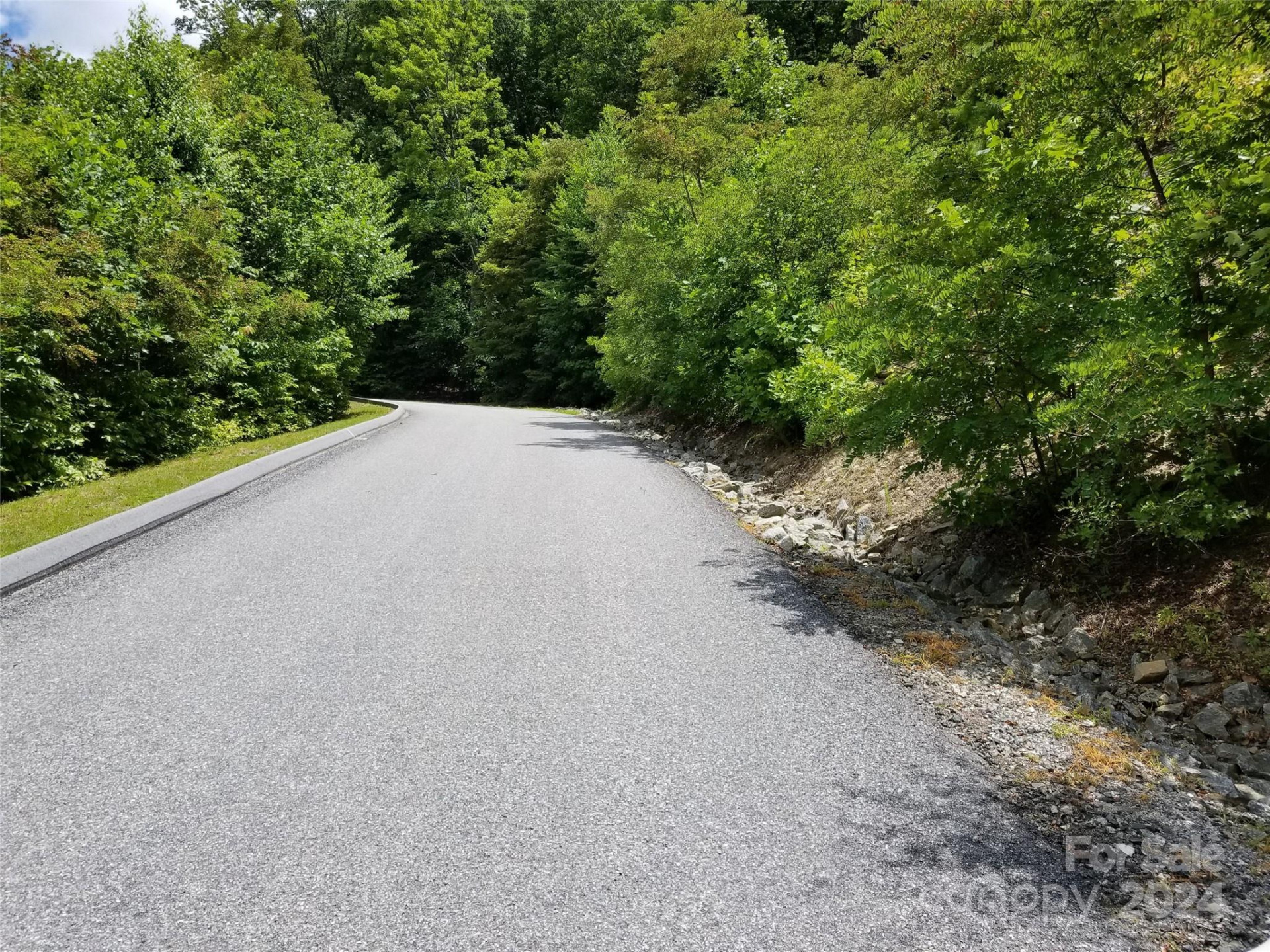 567 Blue Mist Way - Photo 2