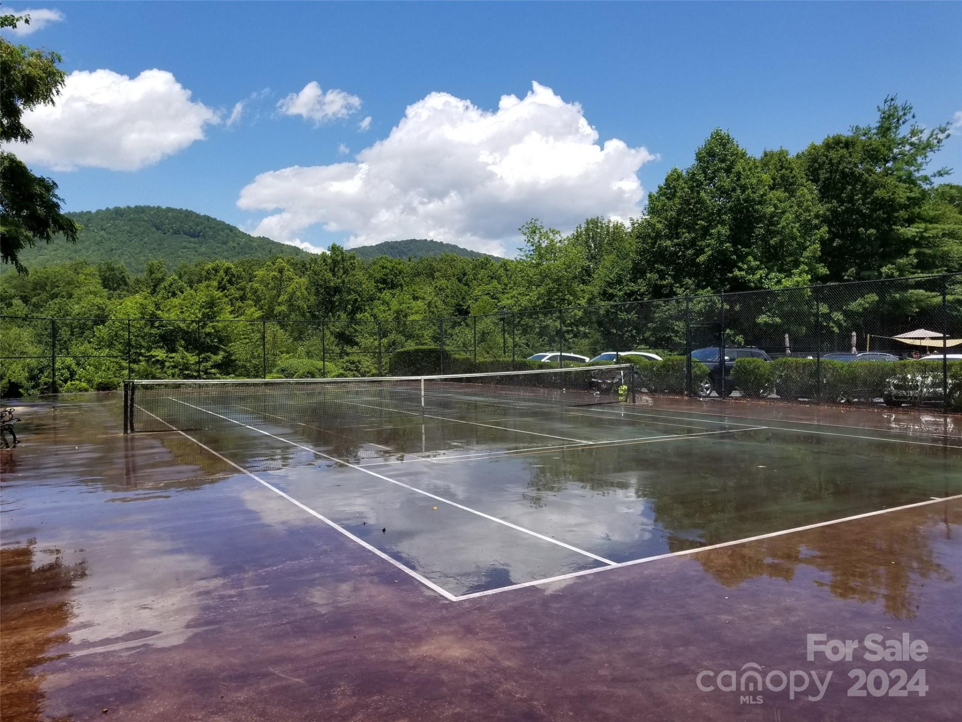 567 Blue Mist Way - Photo 5