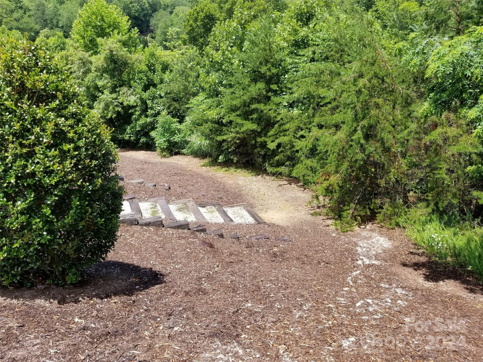 567 Blue Mist Way - Photo 6