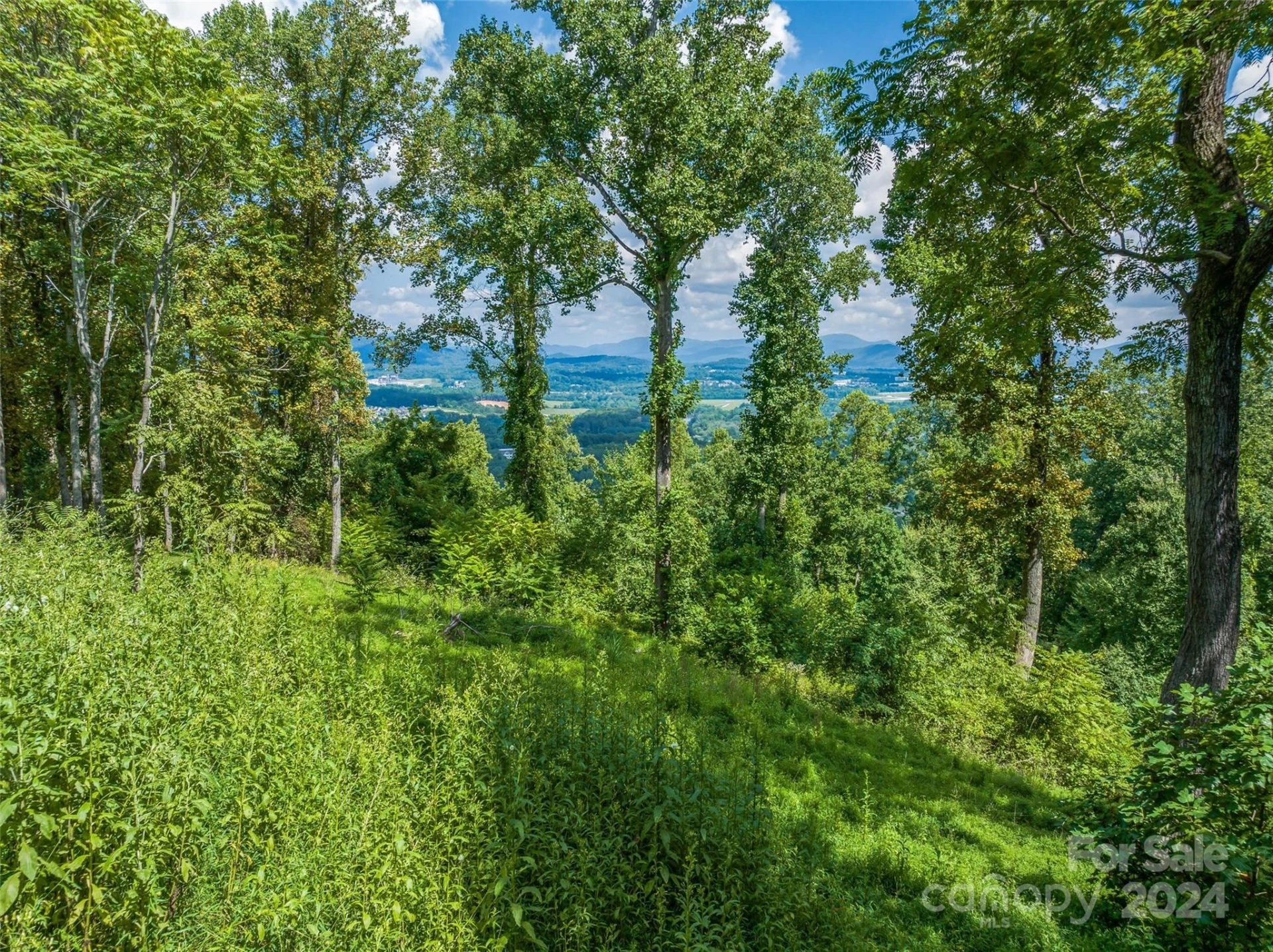 54 Split Rock Trail