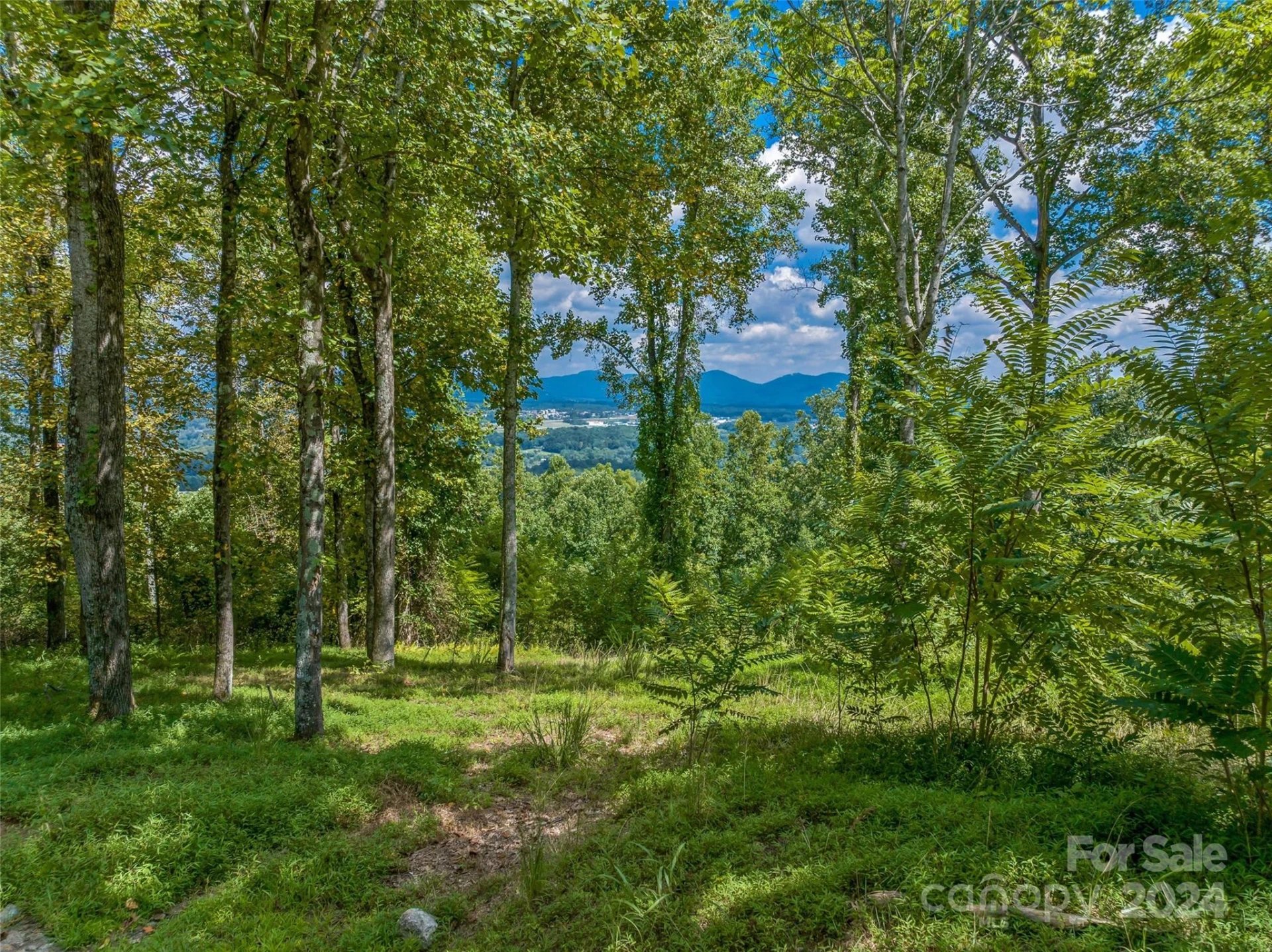 54 Split Rock Trail - Photo 13