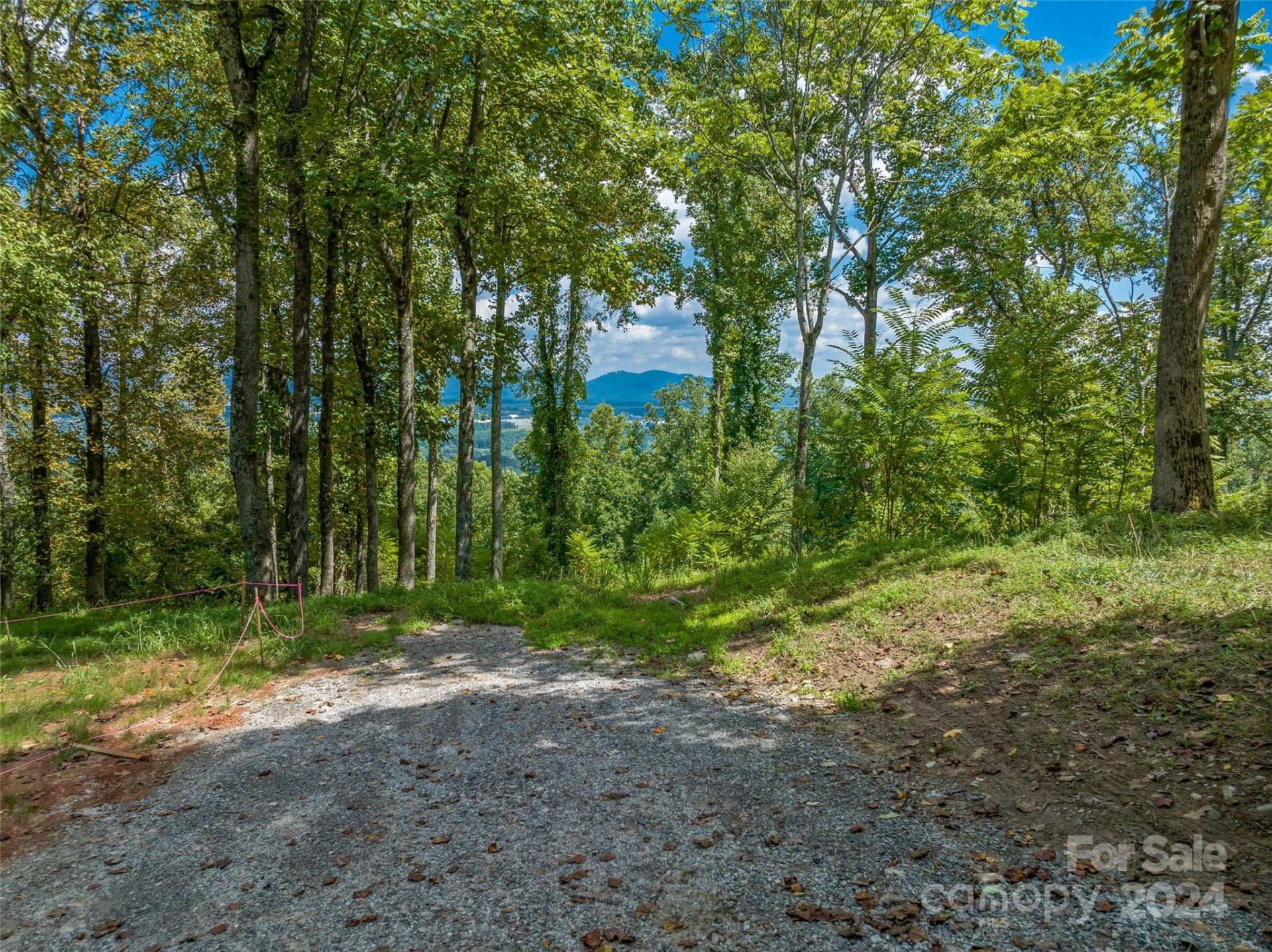54 Split Rock Trail - Photo 18