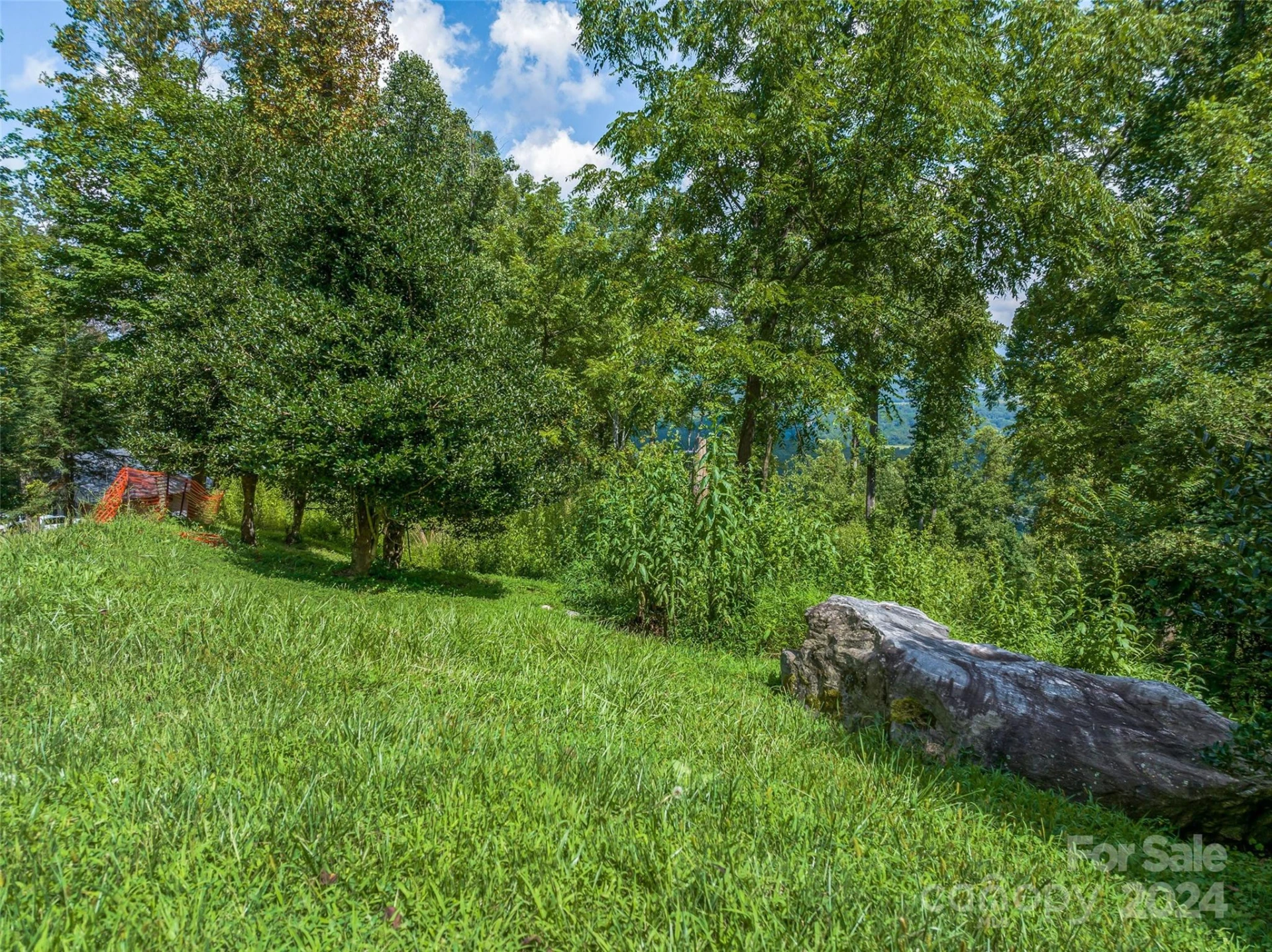 54 Split Rock Trail - Photo 3