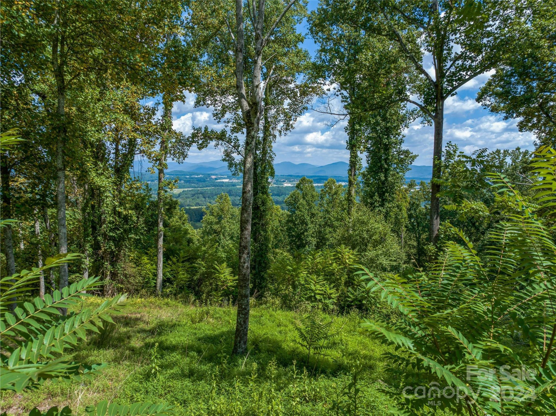 54 Split Rock Trail - Photo 21