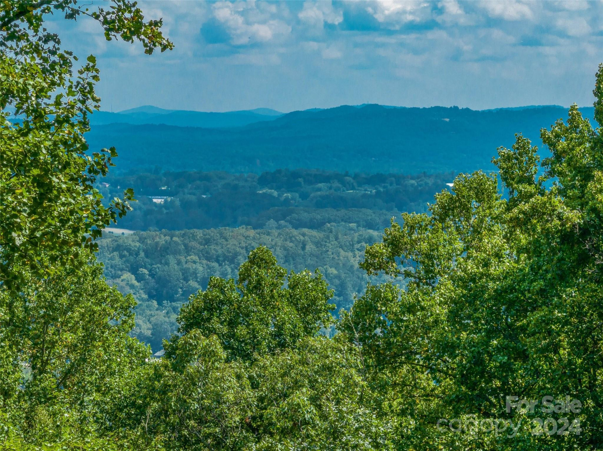54 Split Rock Trail - Photo 22