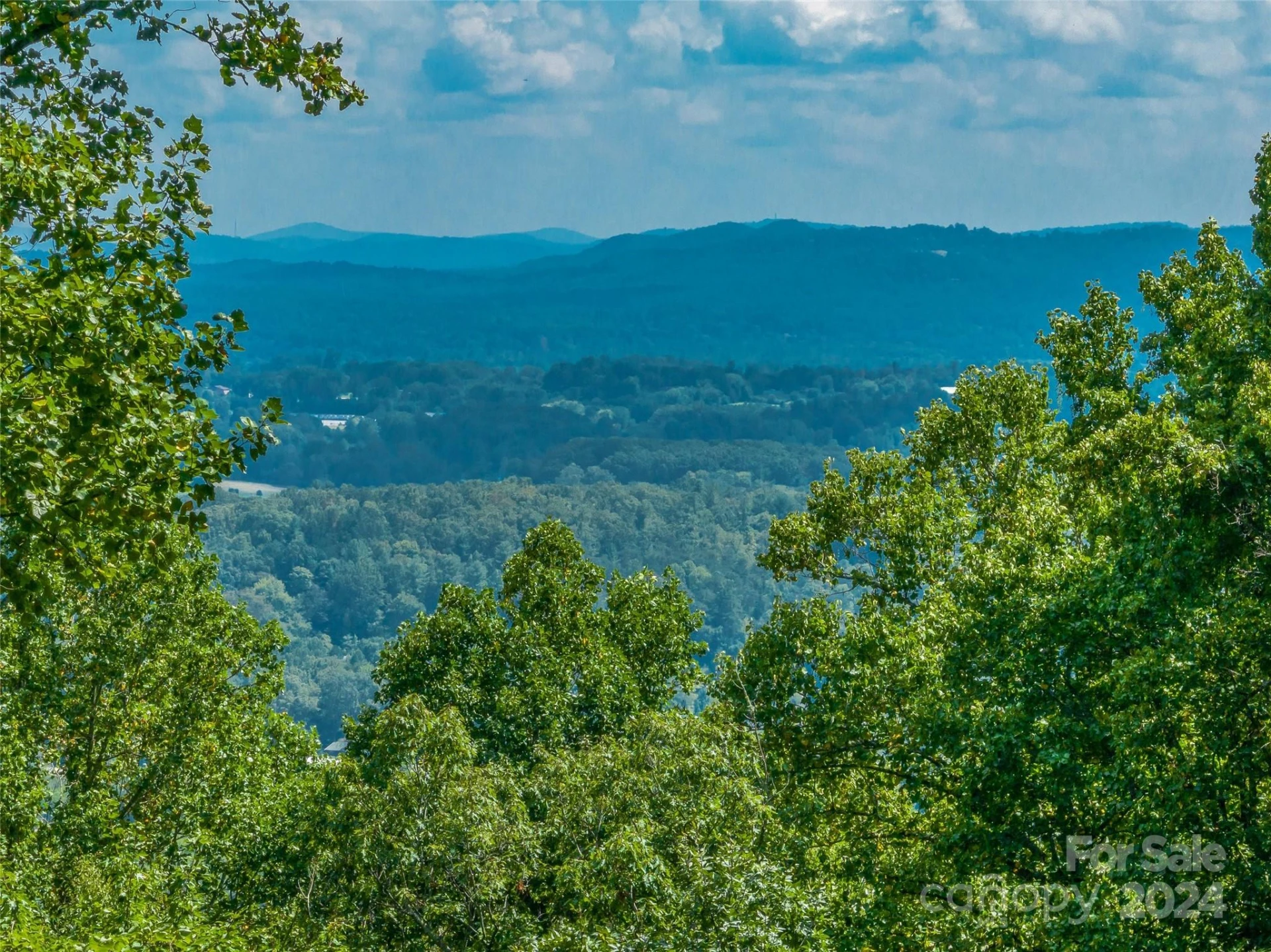 54 Split Rock Trail - Photo 22